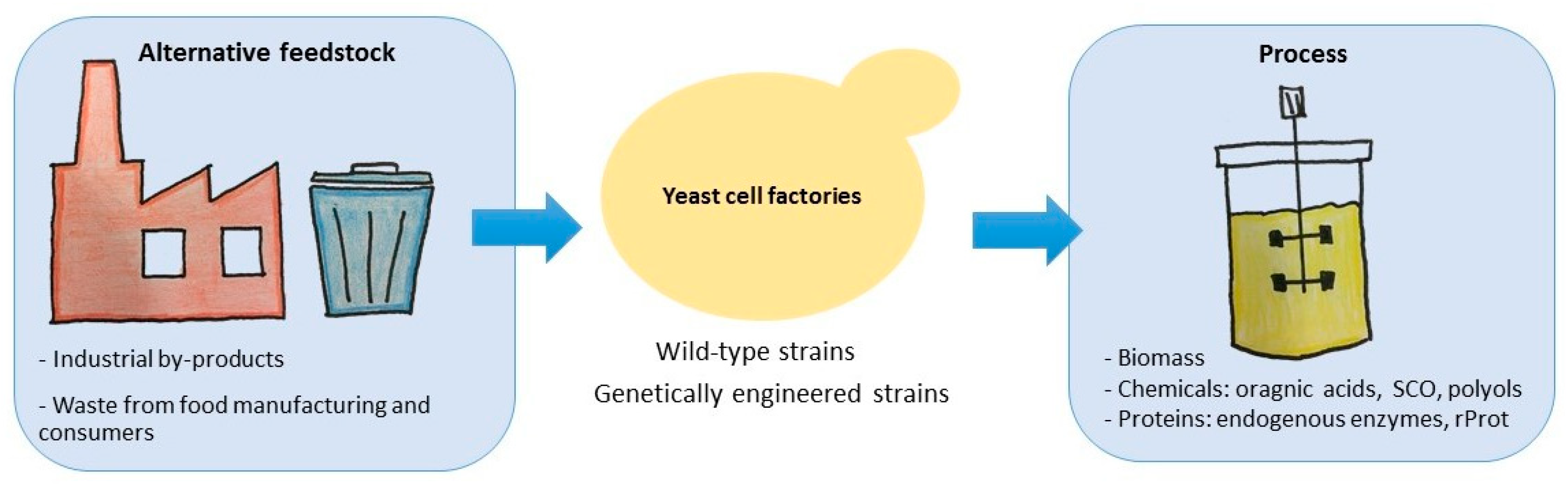 Microorganisms 07 00229 g001 Microorganisms 07 00229 g001