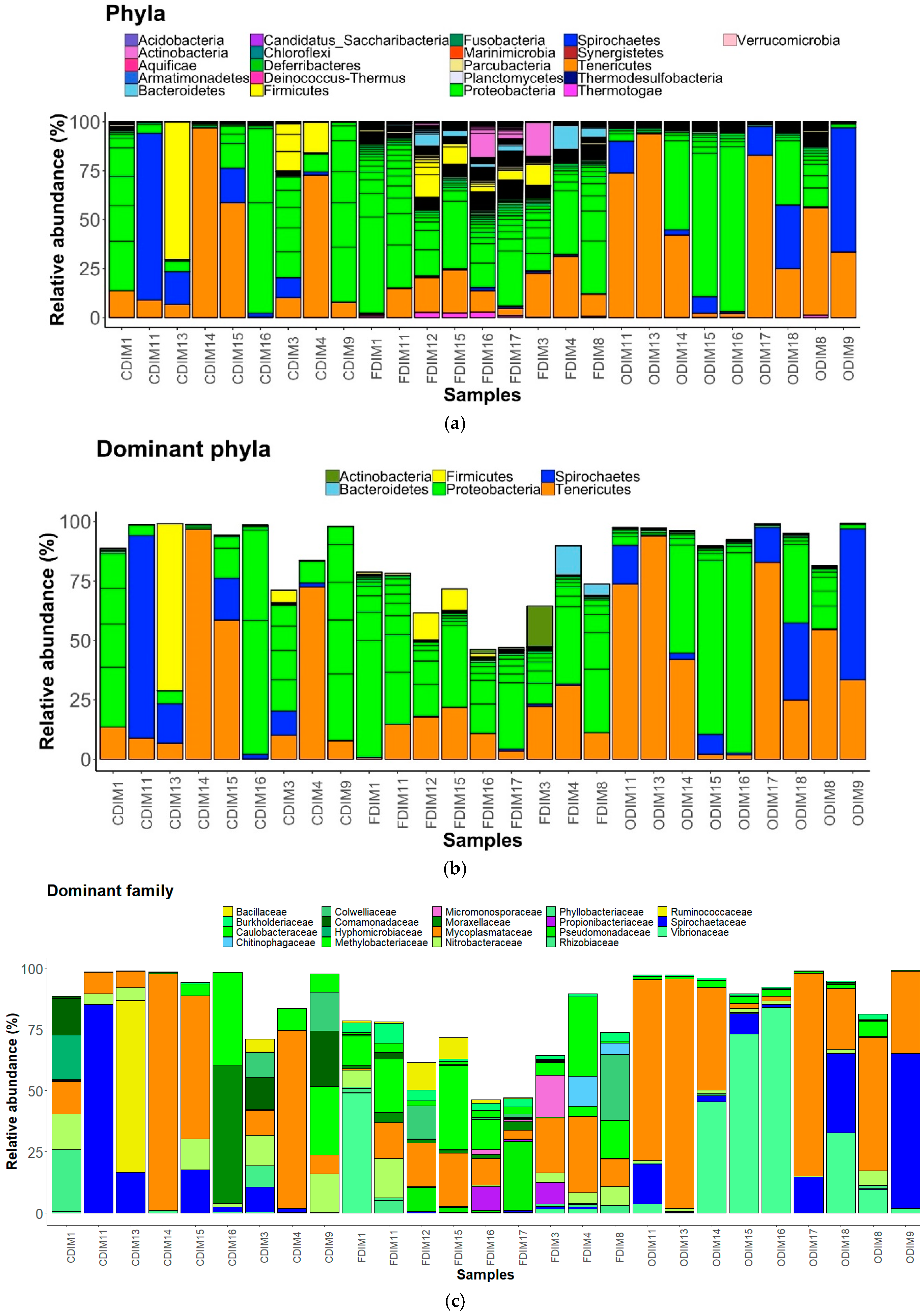 Microorganisms 07 00233 g003 Microorganisms 07 00233 g003