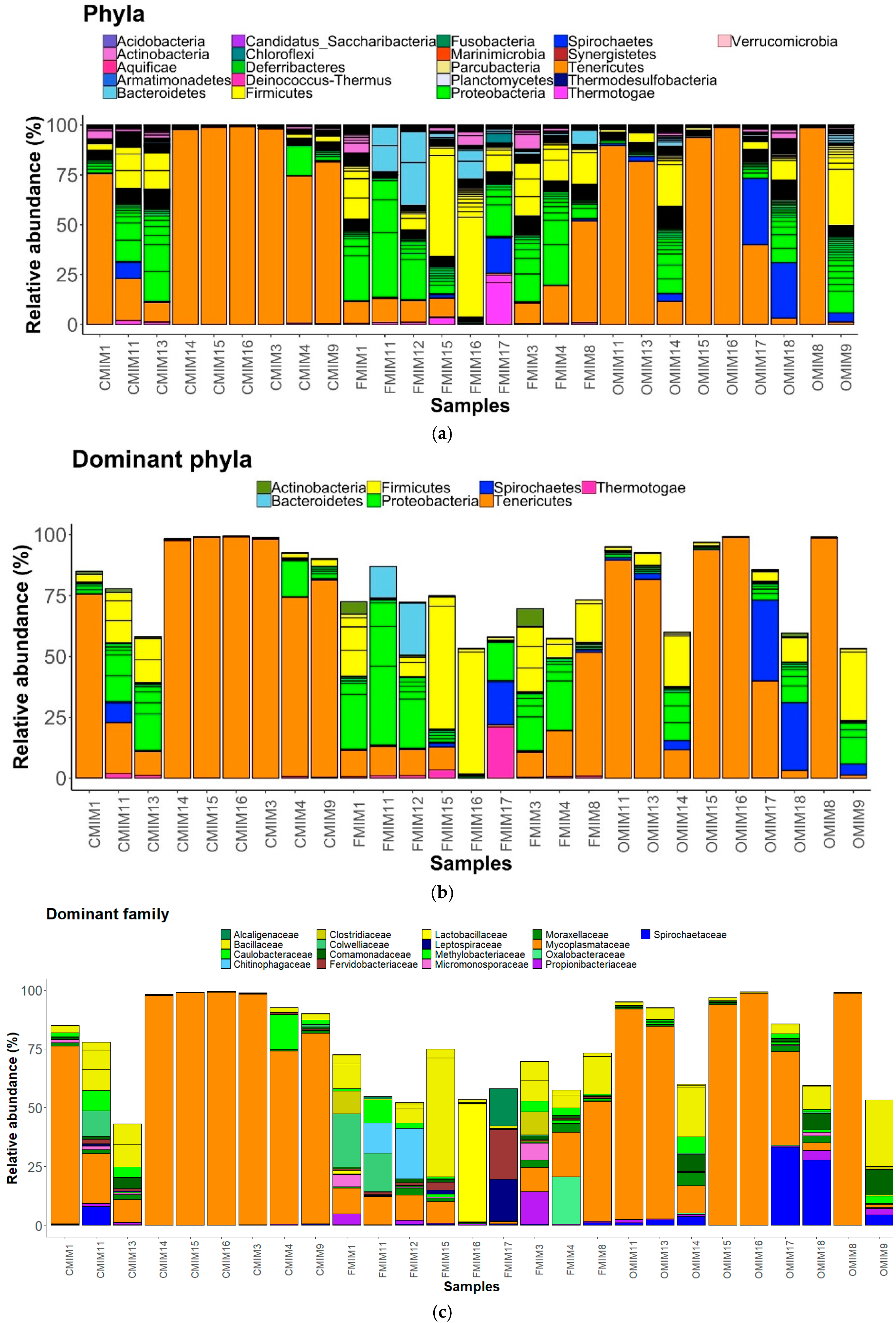 Microorganisms 07 00233 g004 Microorganisms 07 00233 g004