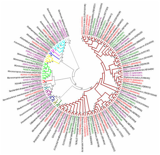 Community Structures and Antifungal Activity of Root