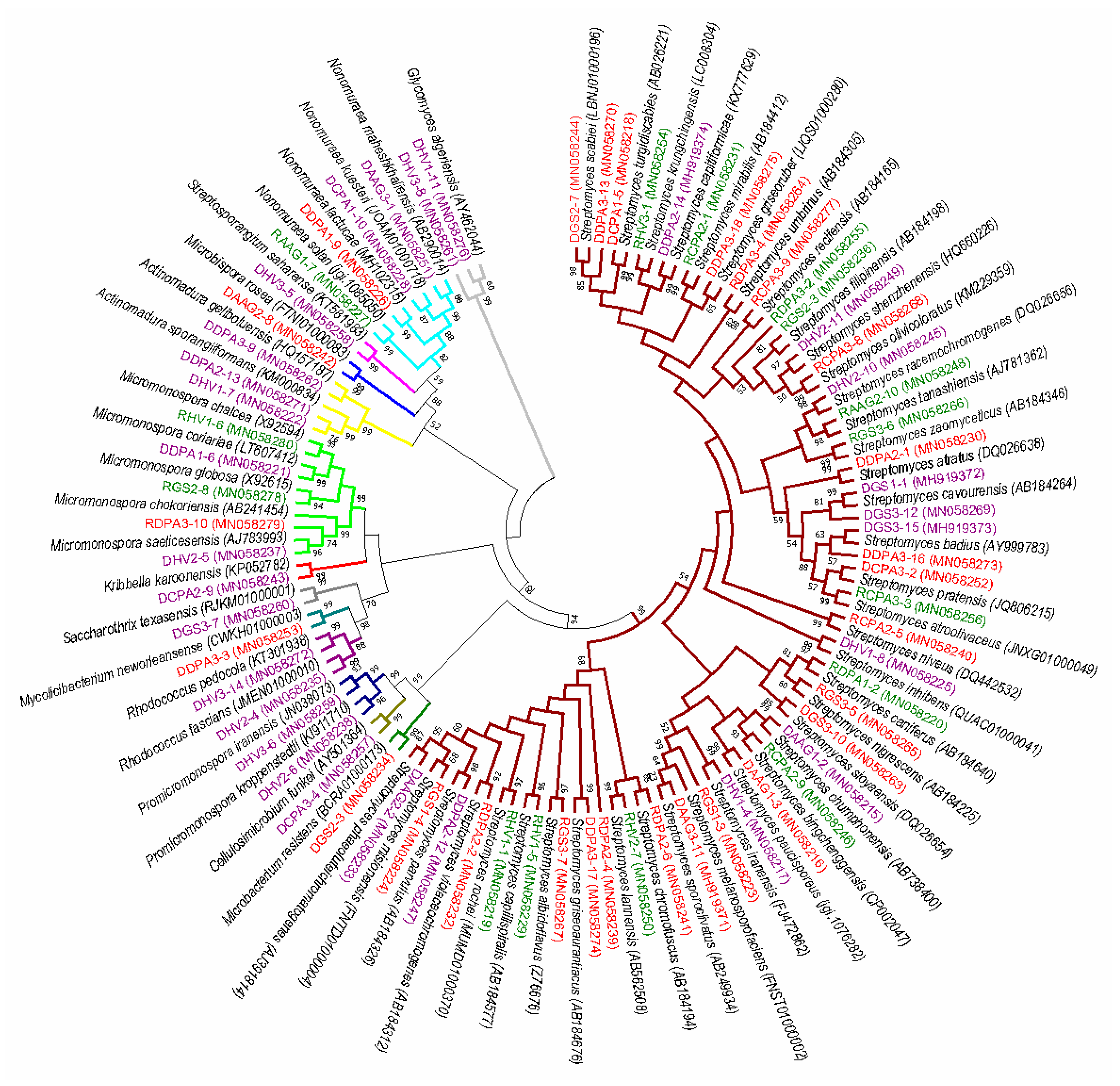 Microorganisms 07 00243 g001 Microorganisms 07 00243 g001