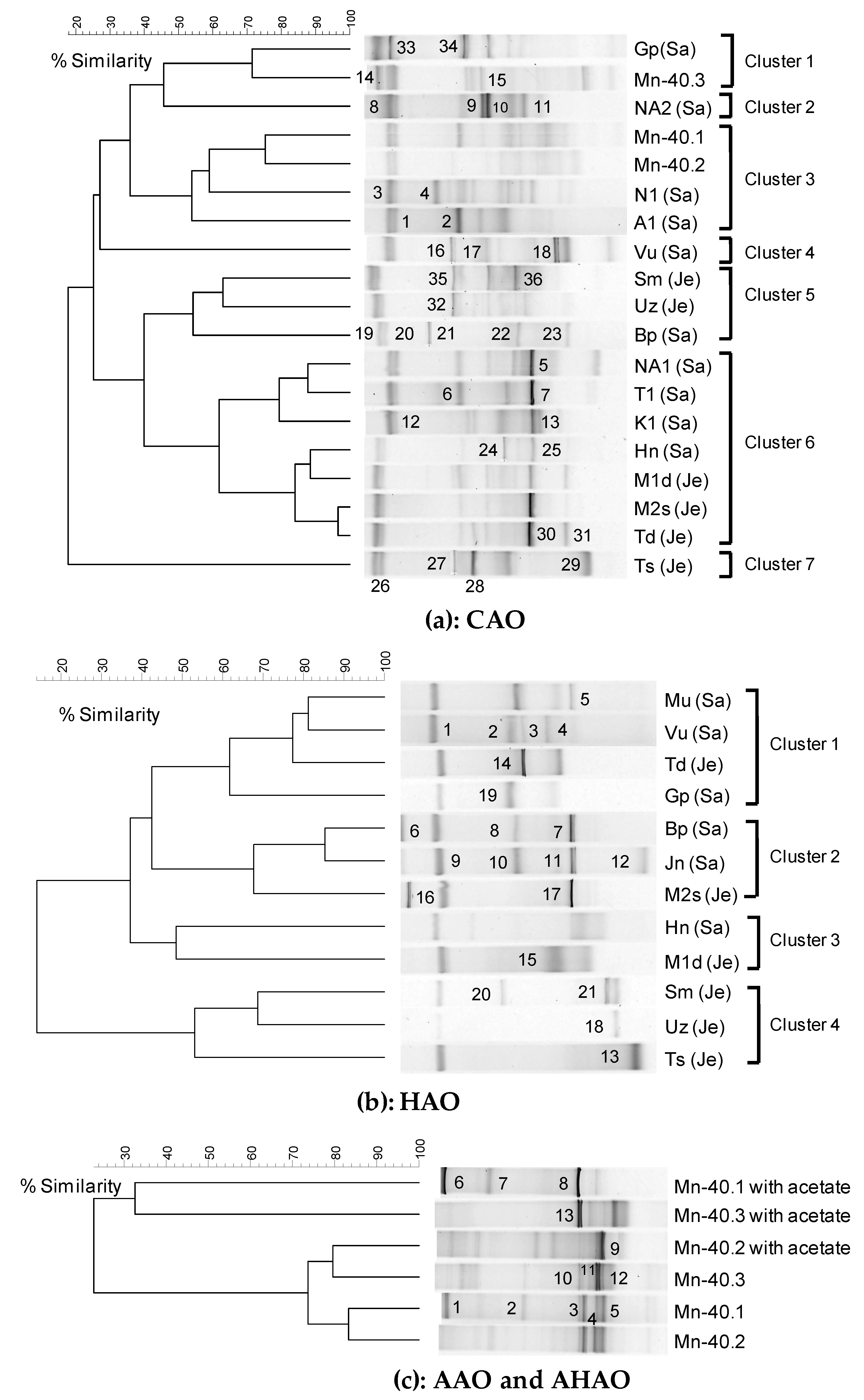 Microorganisms 07 00246 g001 Microorganisms 07 00246 g001