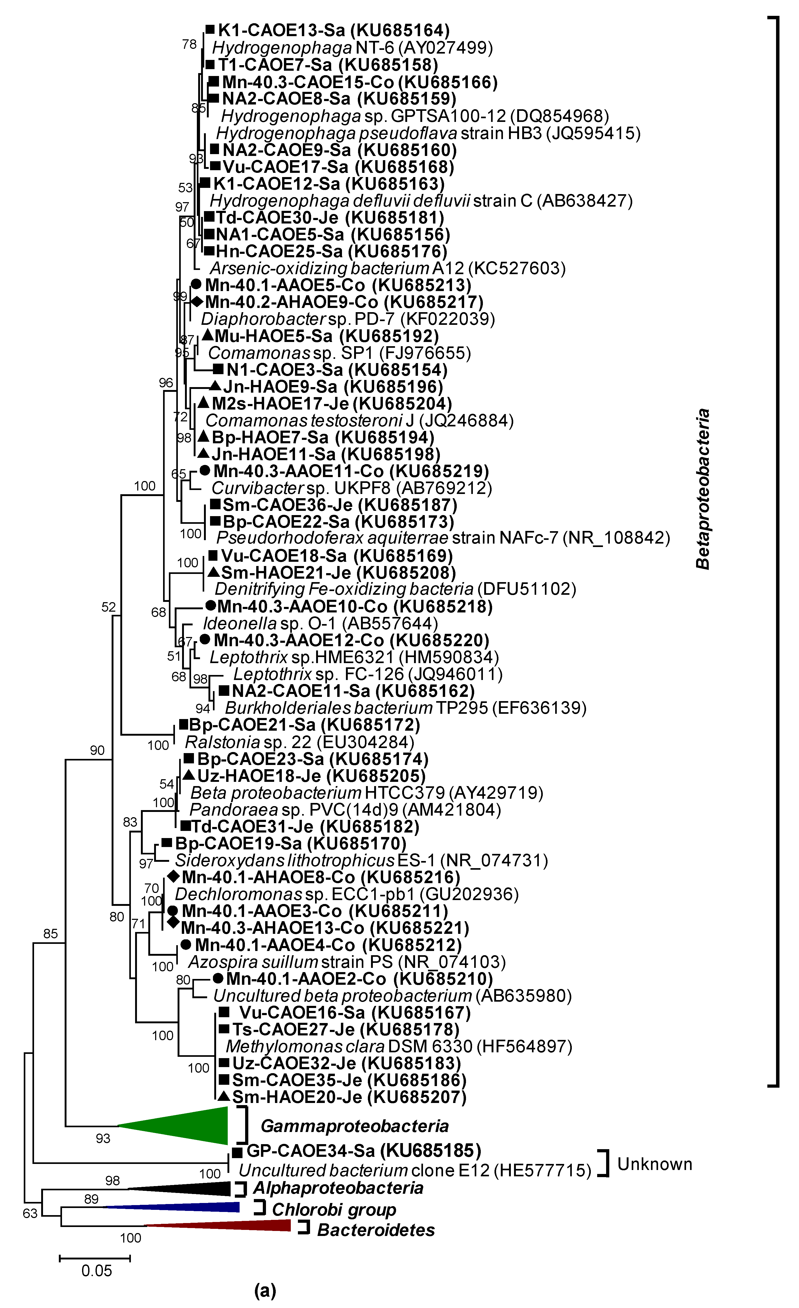 Microorganisms 07 00246 g002a Microorganisms 07 00246 g002a