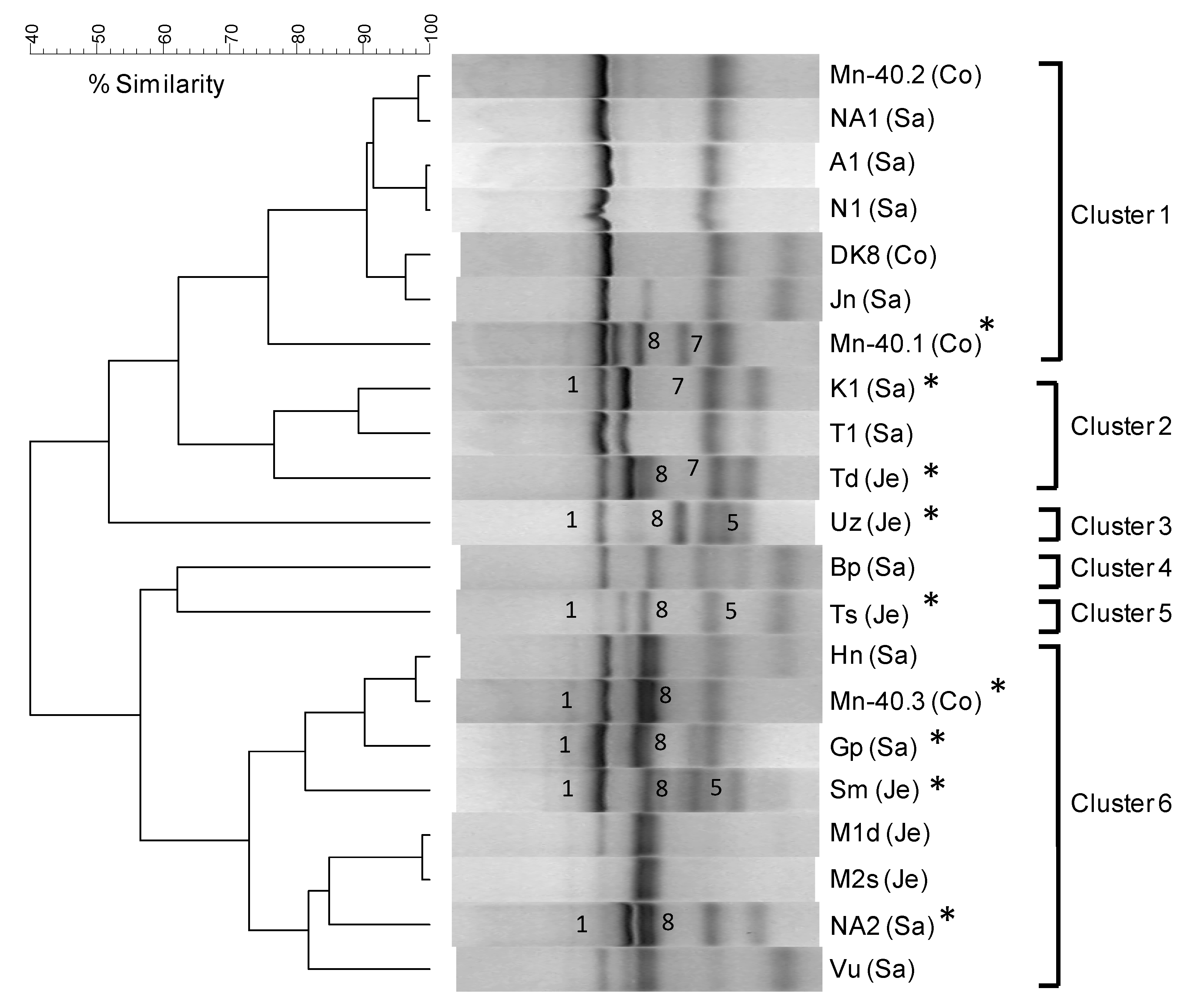Microorganisms 07 00246 g003 Microorganisms 07 00246 g003