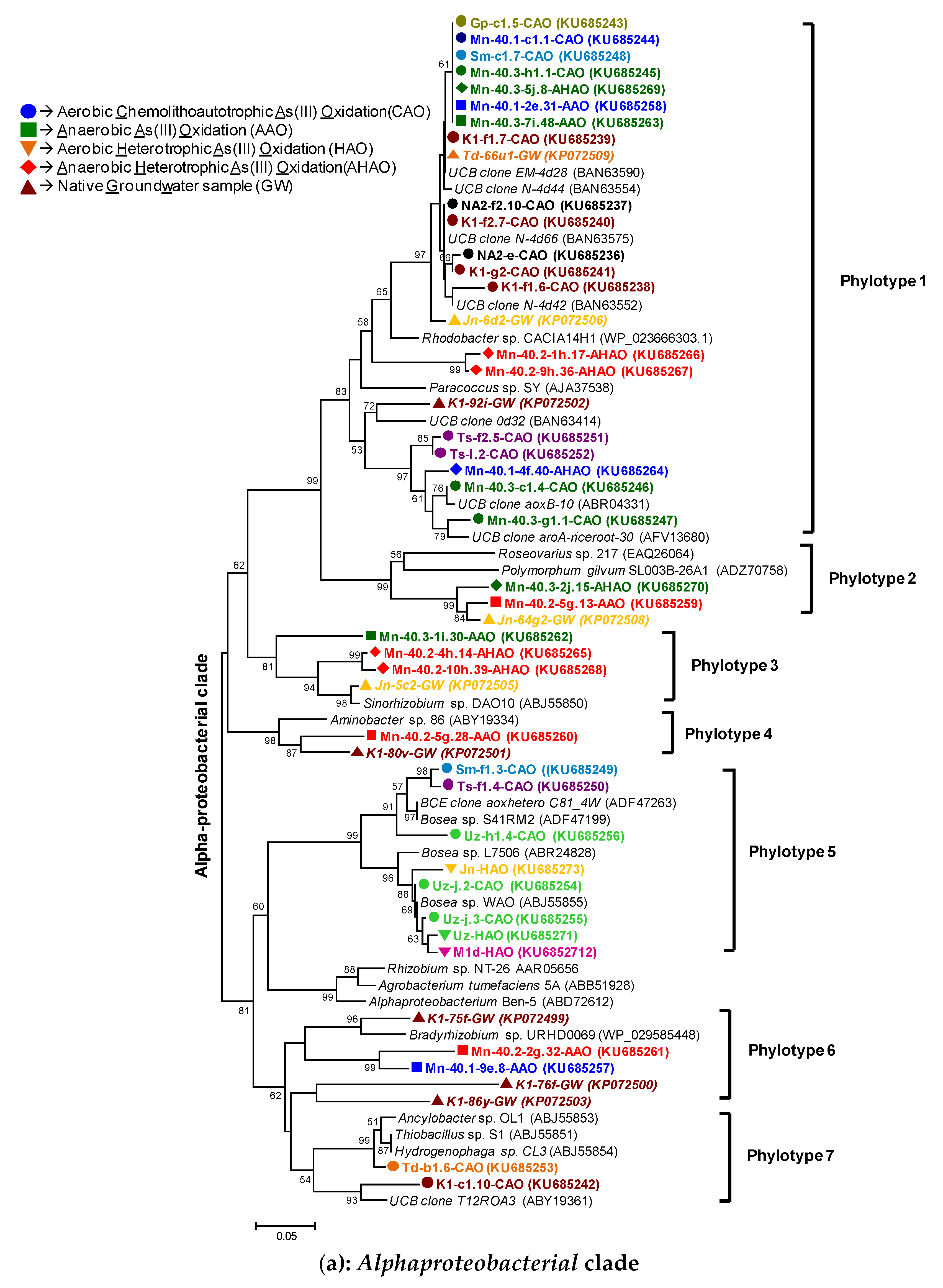 Microorganisms 07 00246 g004a Microorganisms 07 00246 g004a