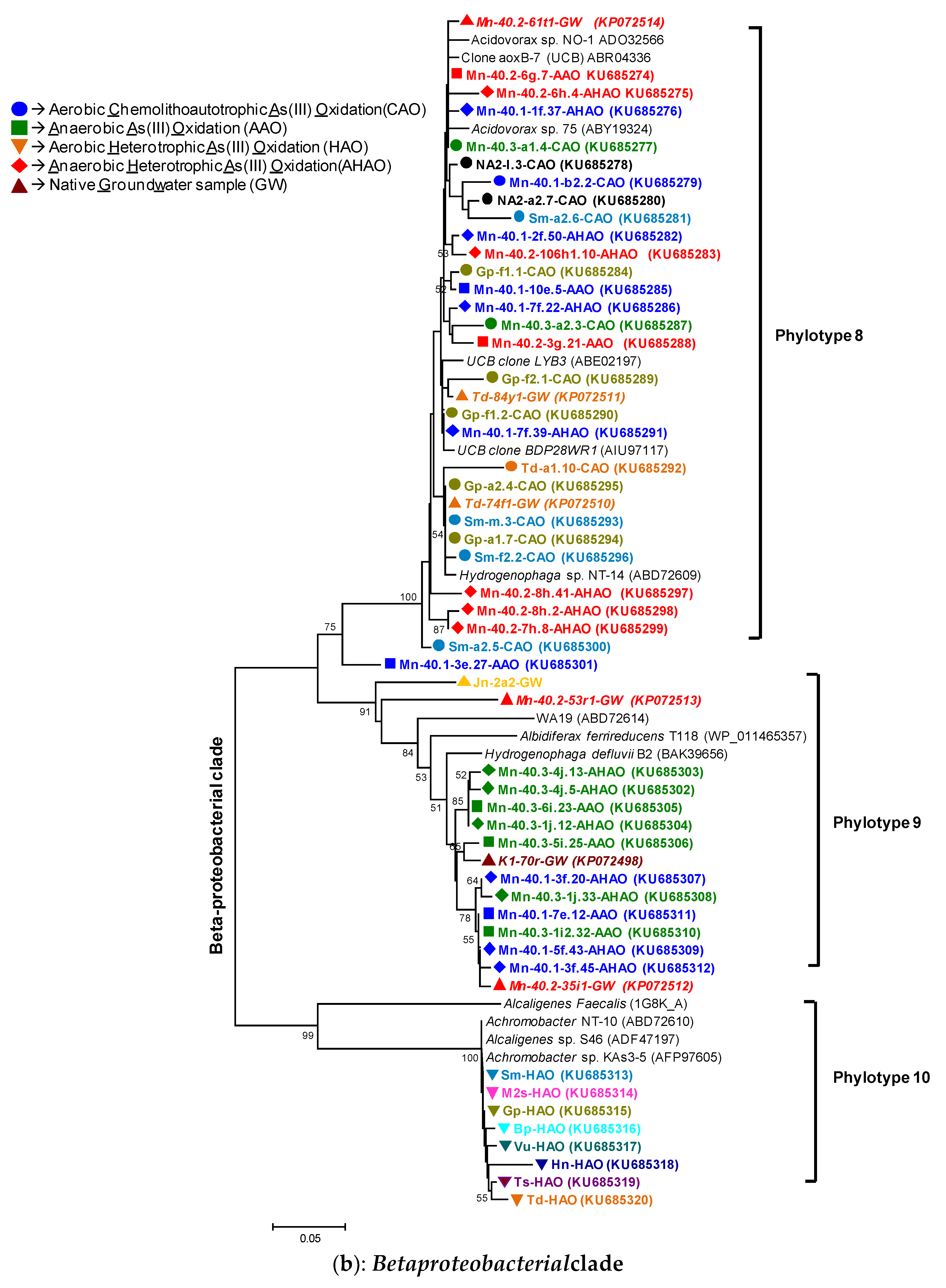 Microorganisms 07 00246 g004b Microorganisms 07 00246 g004b
