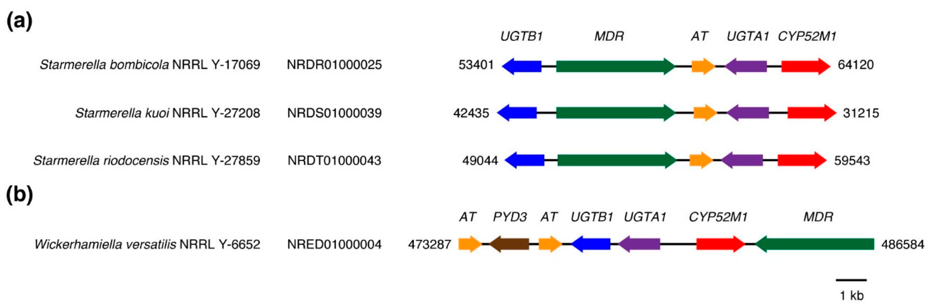 Microorganisms 07 00247 g006 Microorganisms 07 00247 g006
