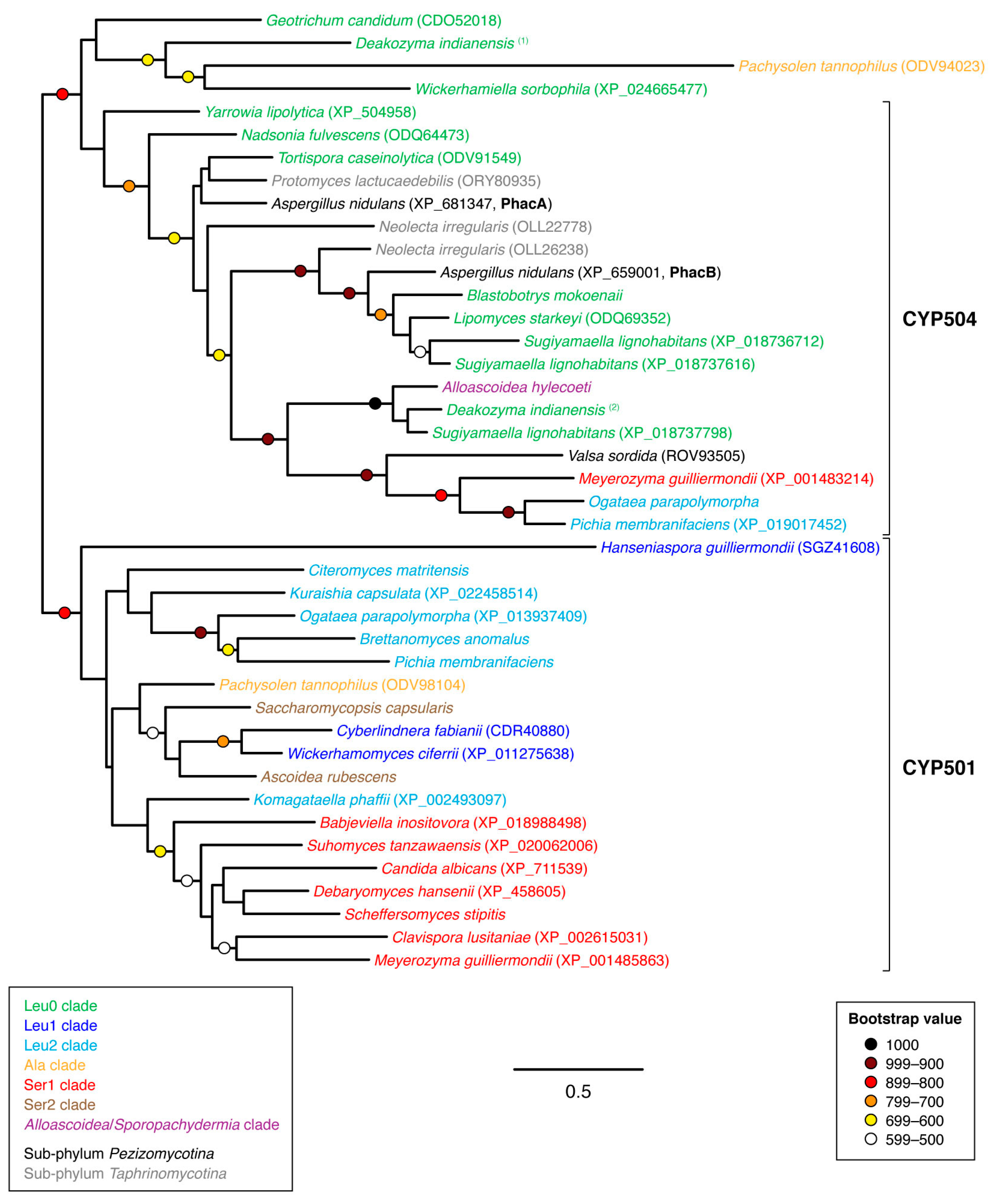 Microorganisms 07 00247 g007 Microorganisms 07 00247 g007