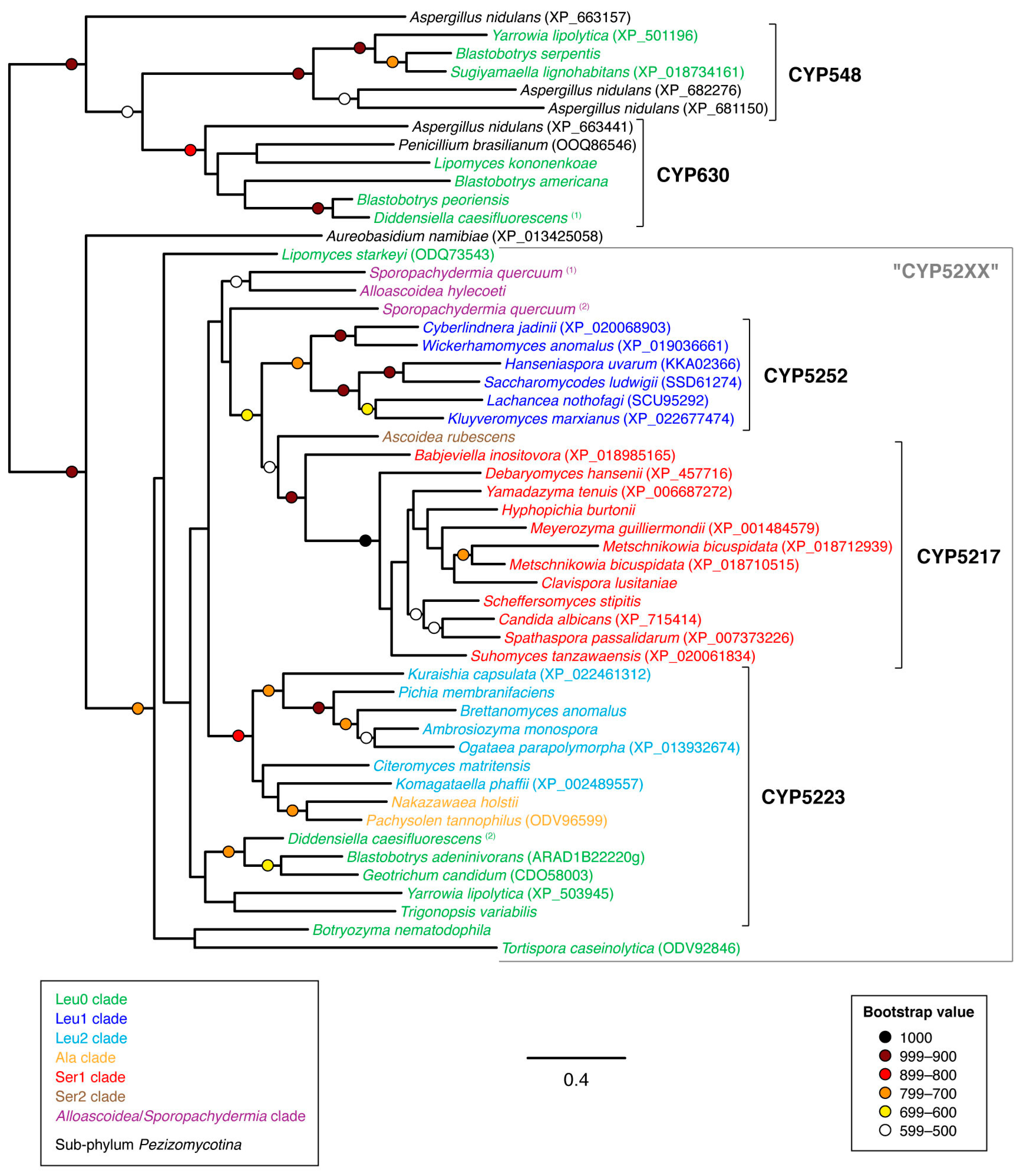 Microorganisms 07 00247 g008 Microorganisms 07 00247 g008