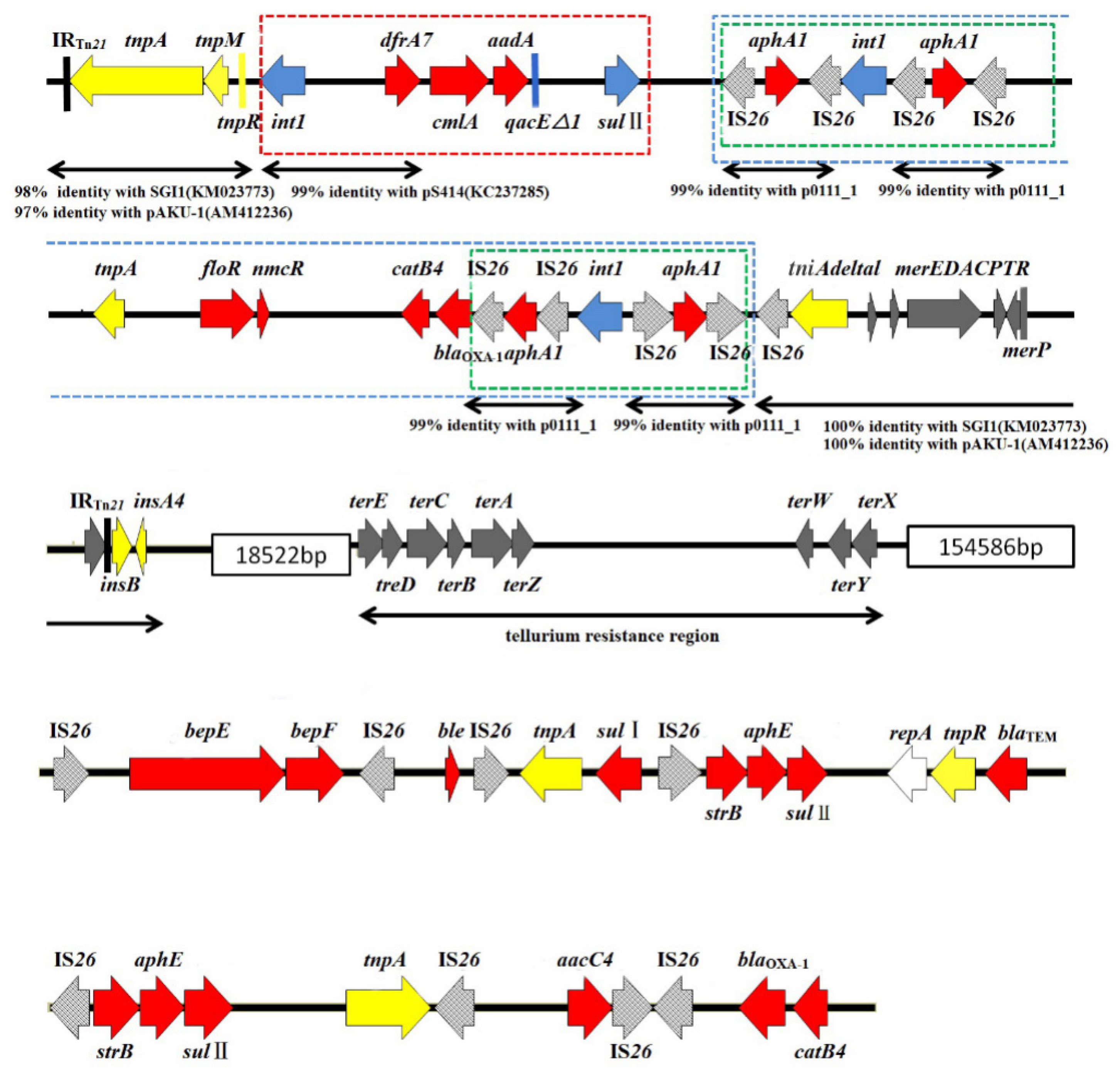 Microorganisms 07 00248 g001 Microorganisms 07 00248 g001