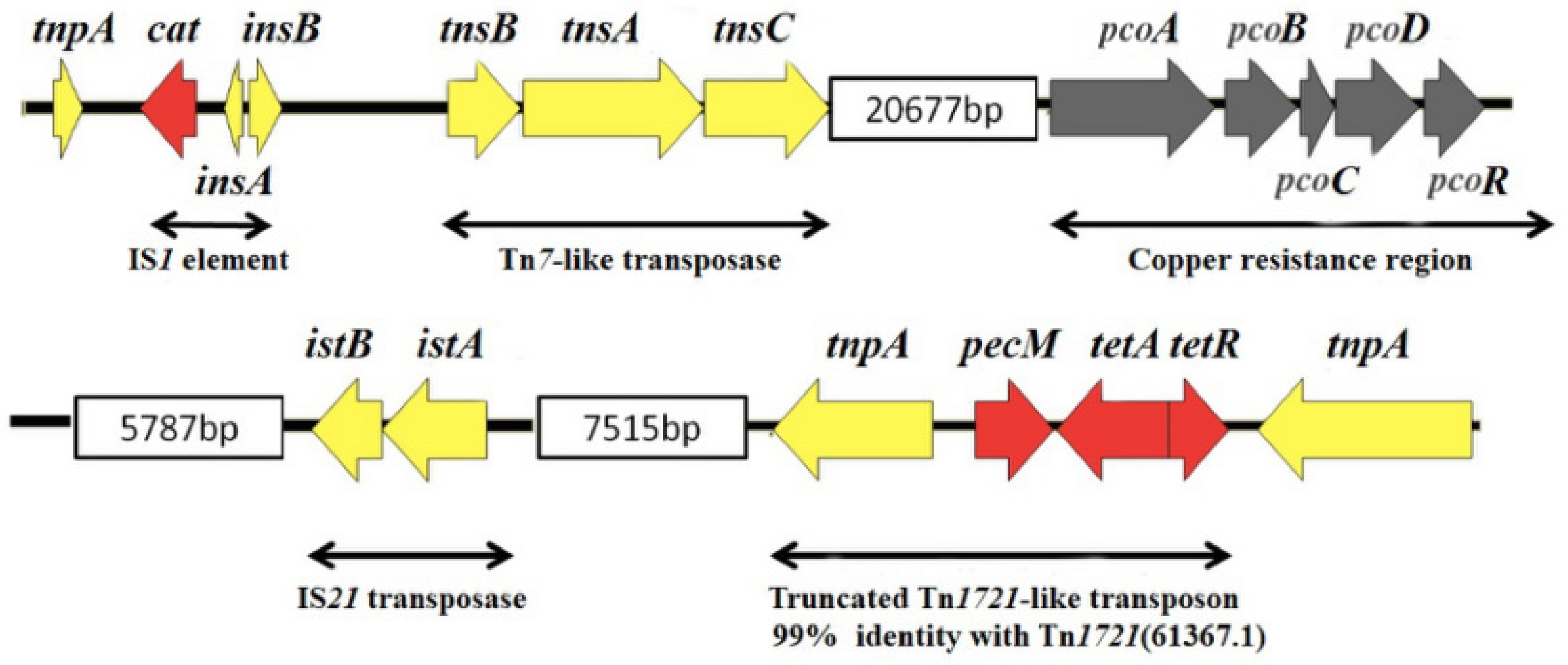 Microorganisms 07 00248 g002 Microorganisms 07 00248 g002