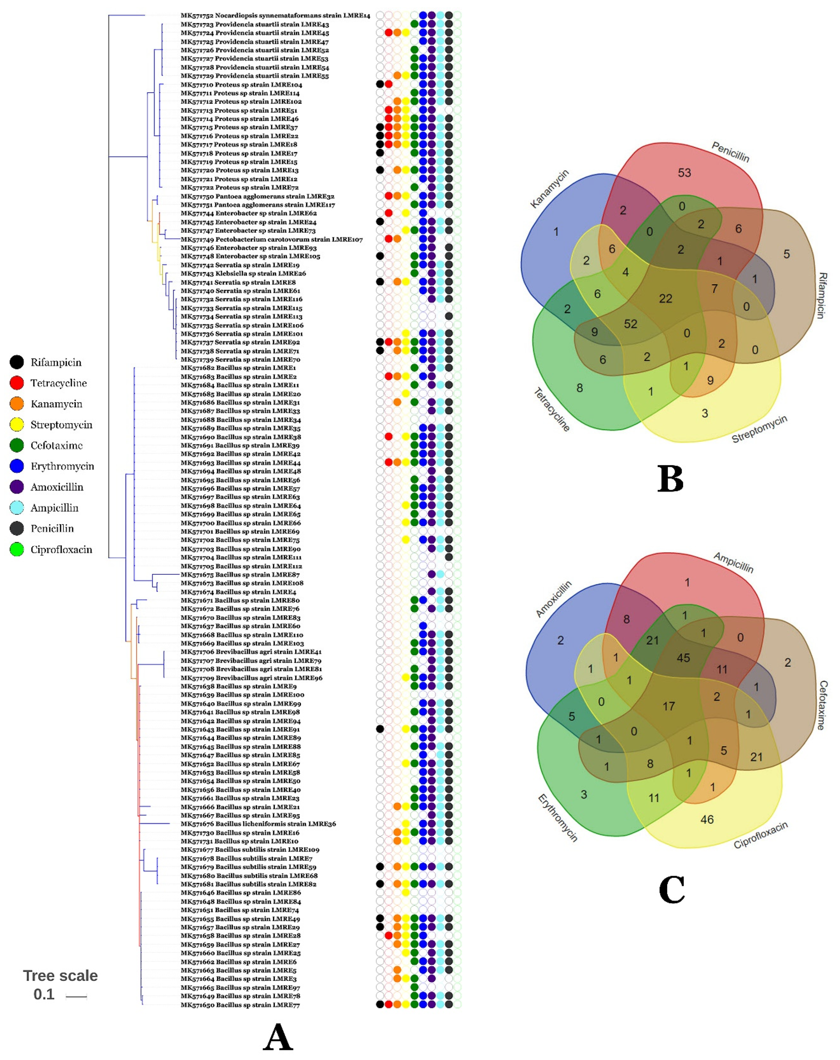 Microorganisms 07 00249 g008 Microorganisms 07 00249 g008
