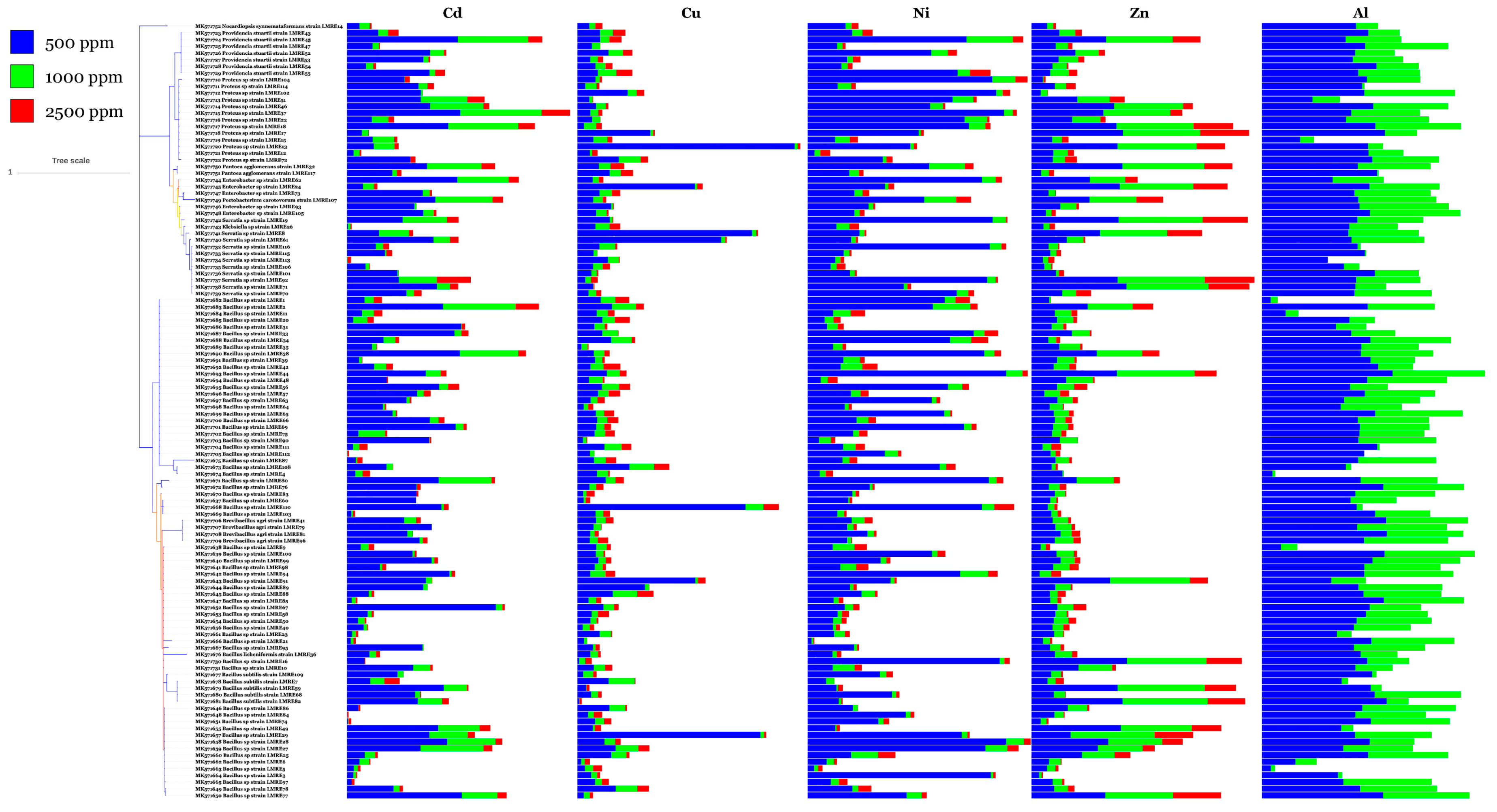 Microorganisms 07 00249 g009 Microorganisms 07 00249 g009