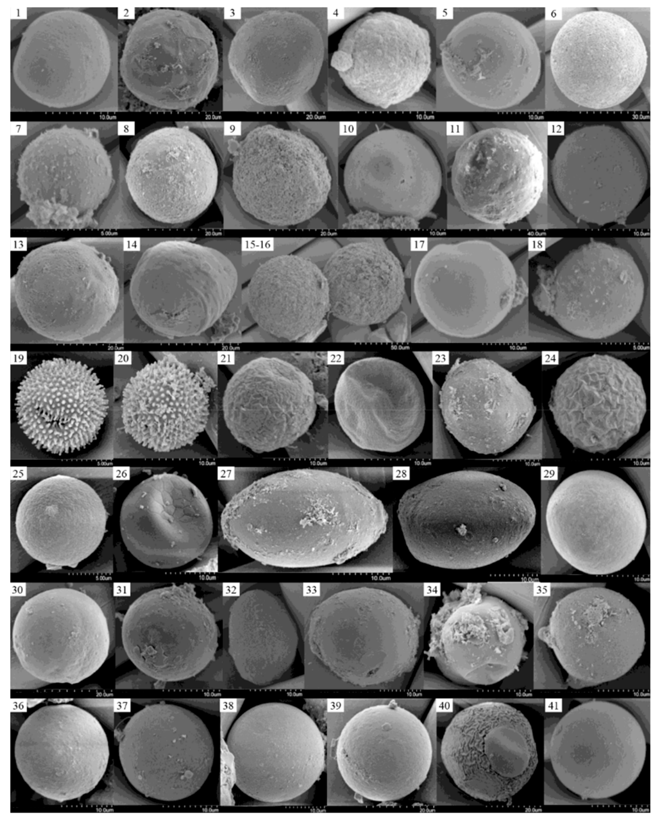 Microorganisms 07 00250 g003 Microorganisms 07 00250 g003