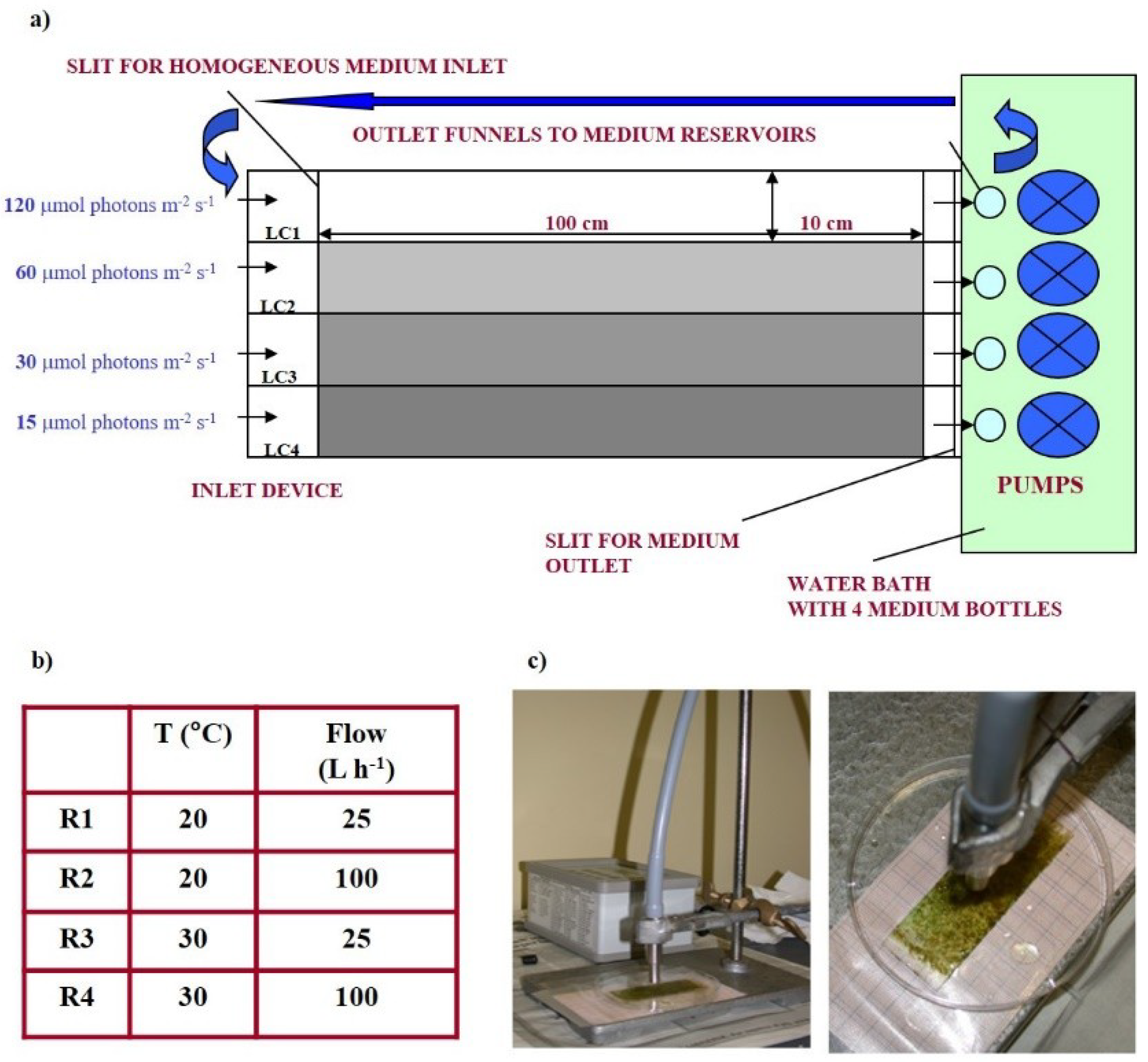 Microorganisms 07 00252 g001