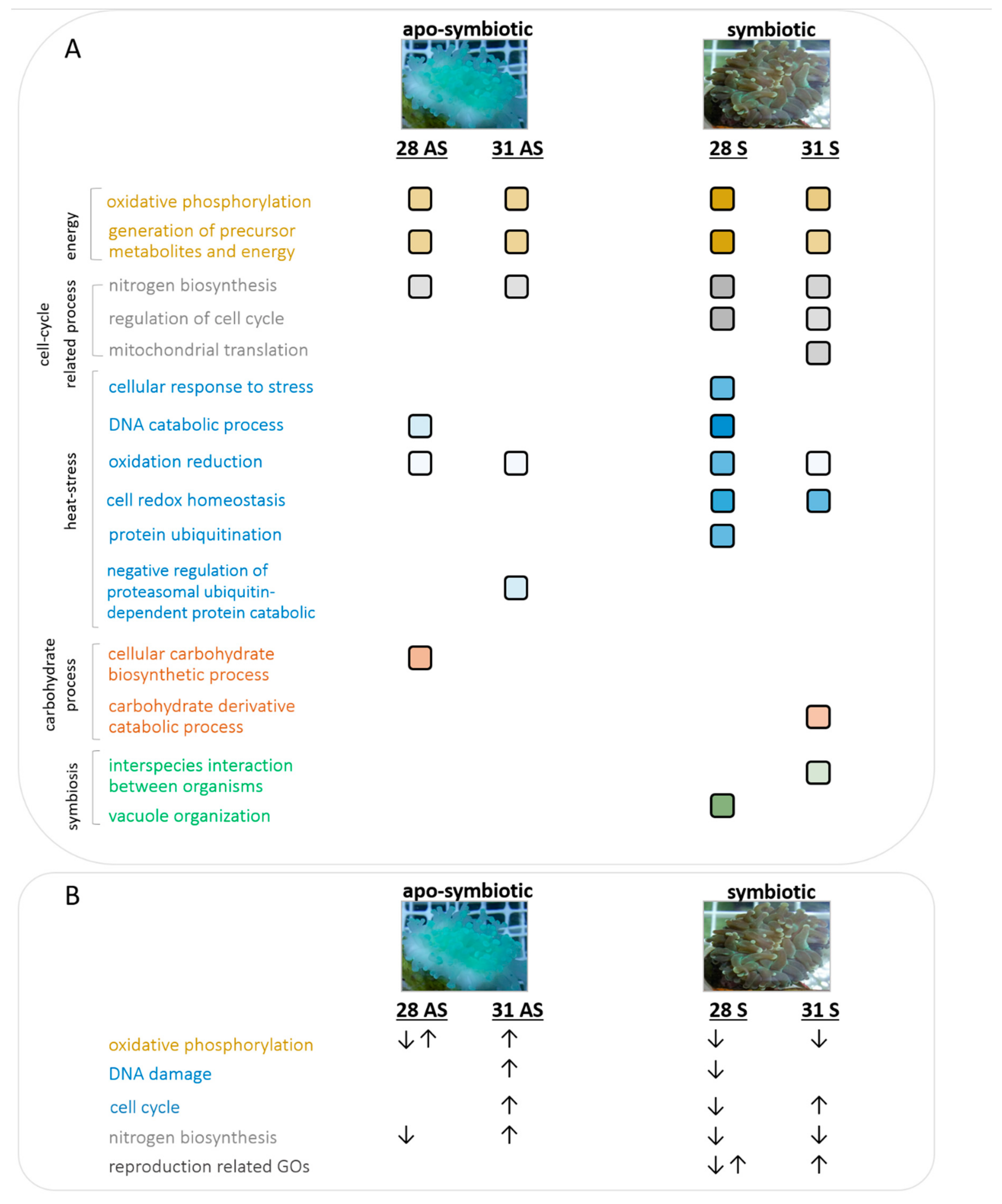 Microorganisms 07 00256 g005