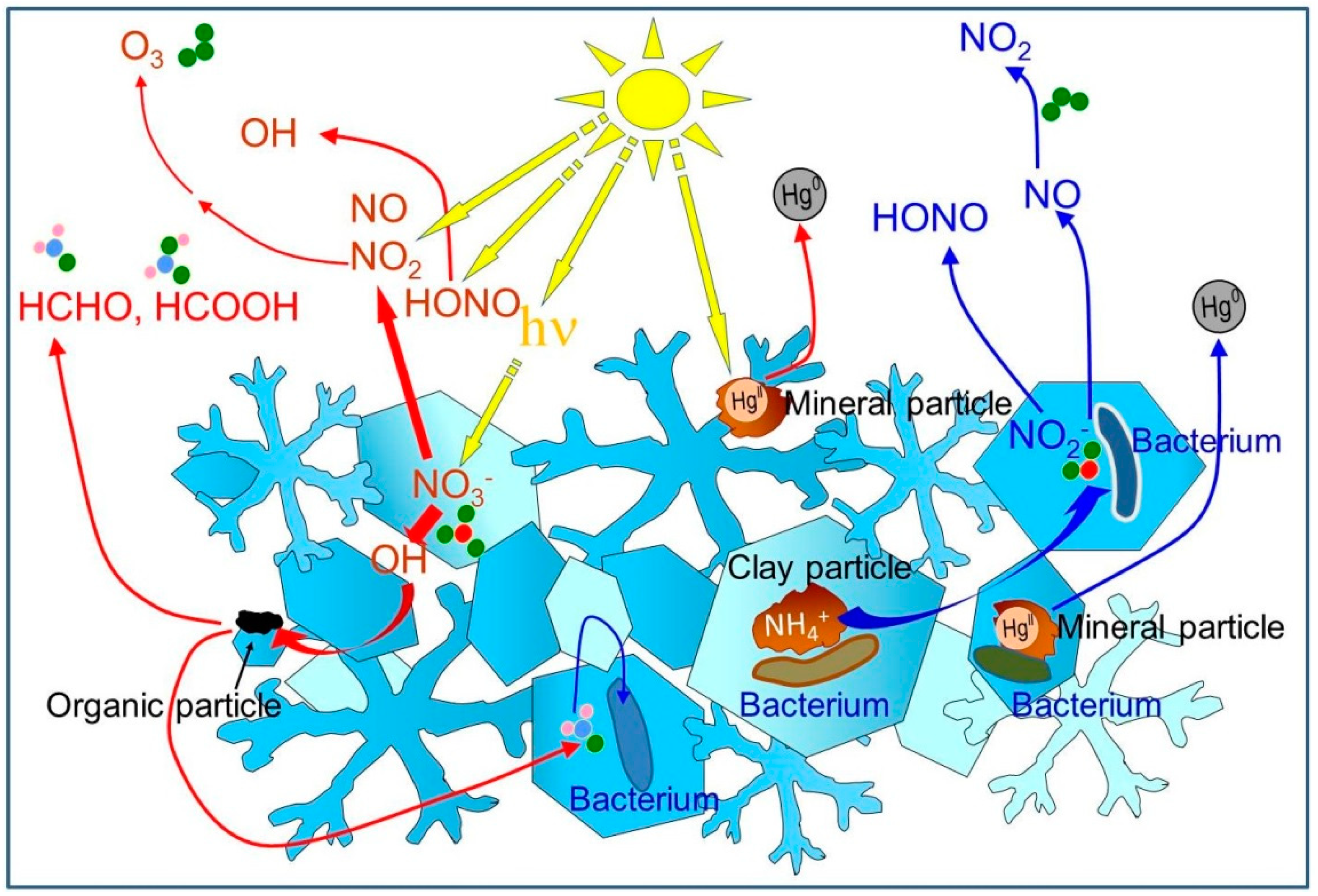 Microorganisms 07 00260 g001