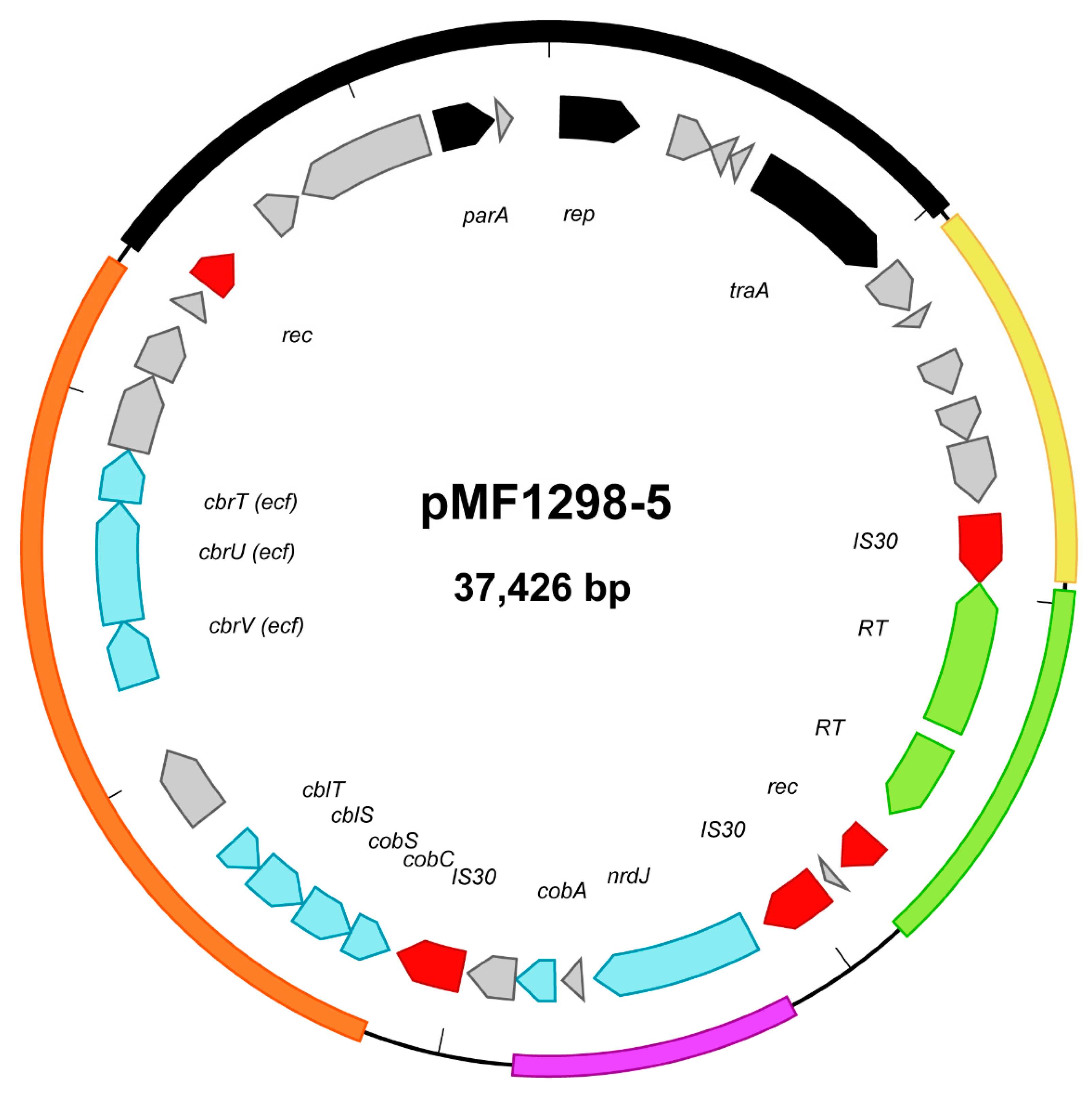 Microorganisms 07 00262 g002