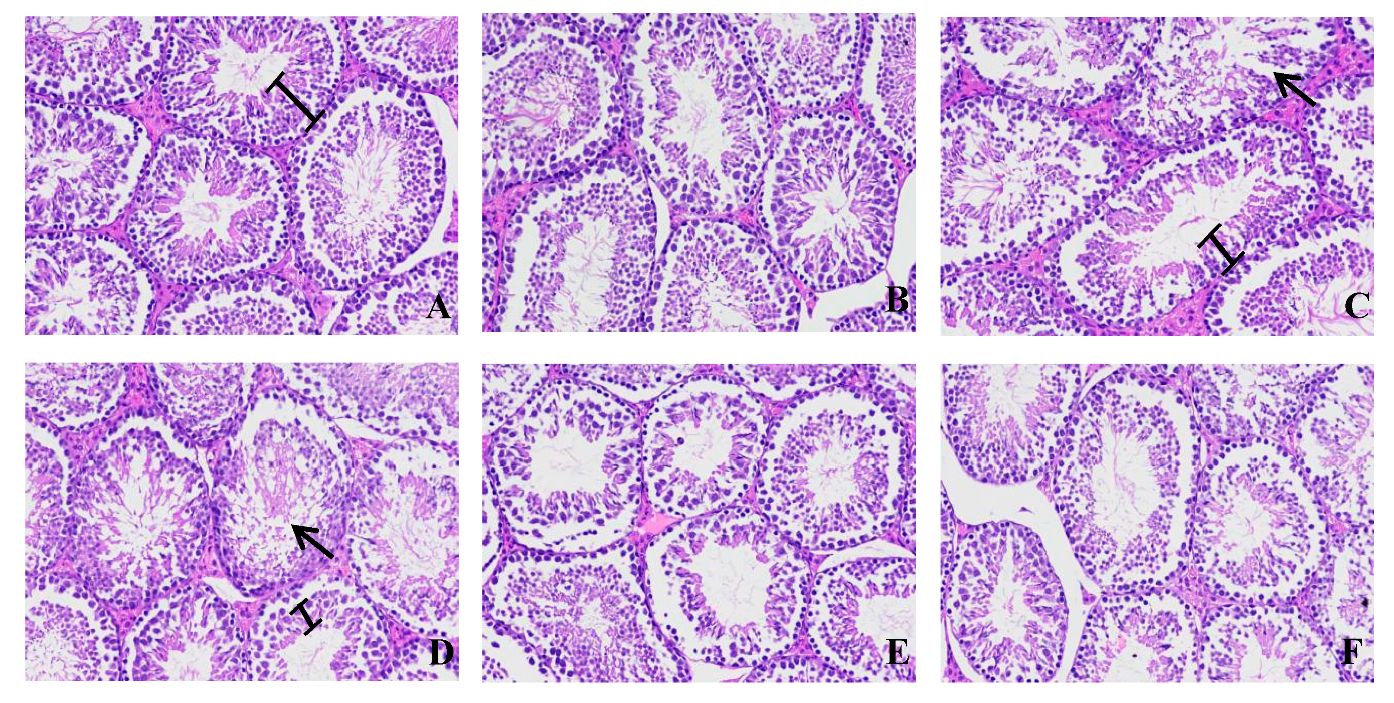 Microorganisms 07 00266 g006 Microorganisms 07 00266 g006