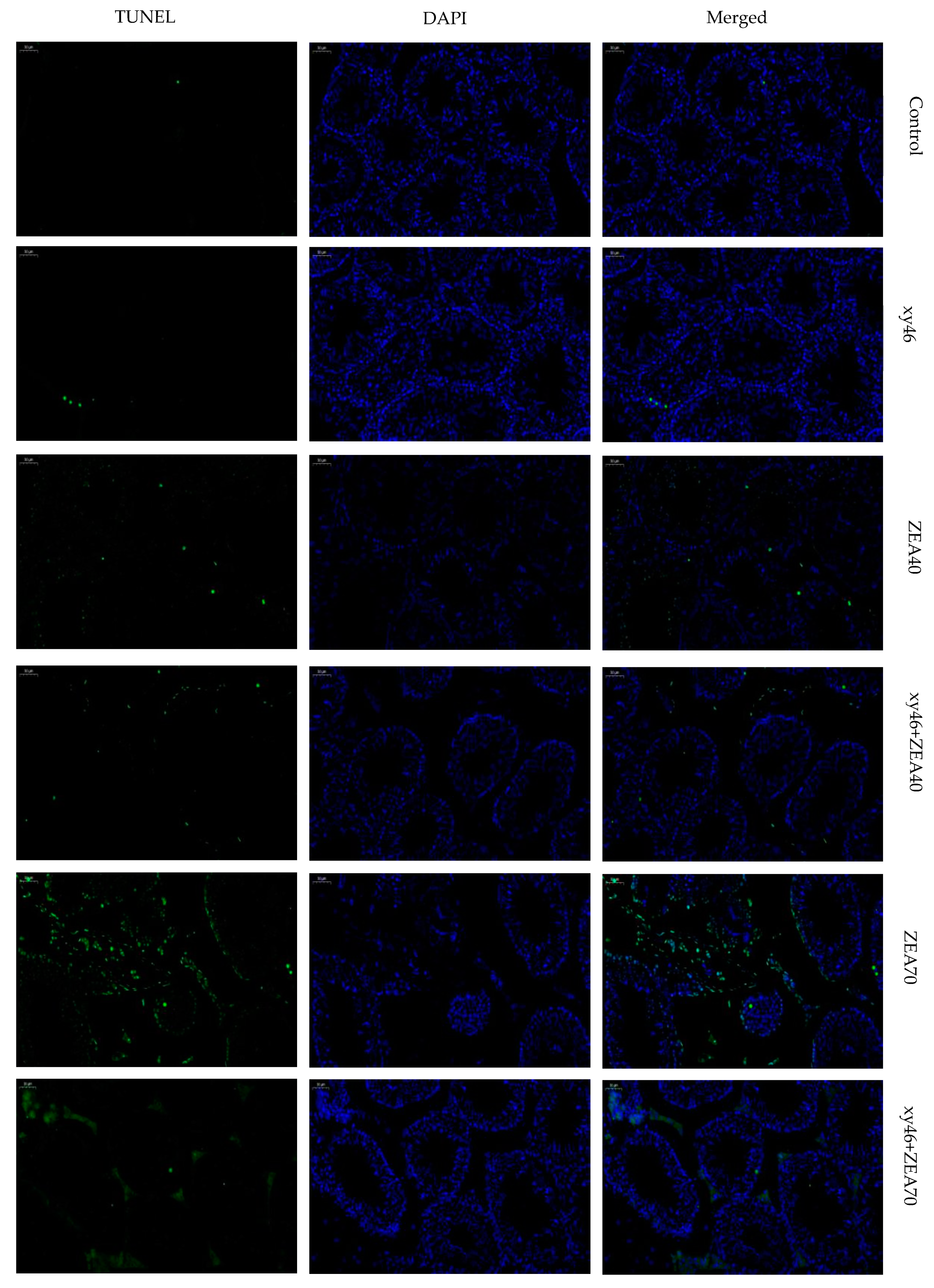 Microorganisms 07 00266 g009 Microorganisms 07 00266 g009