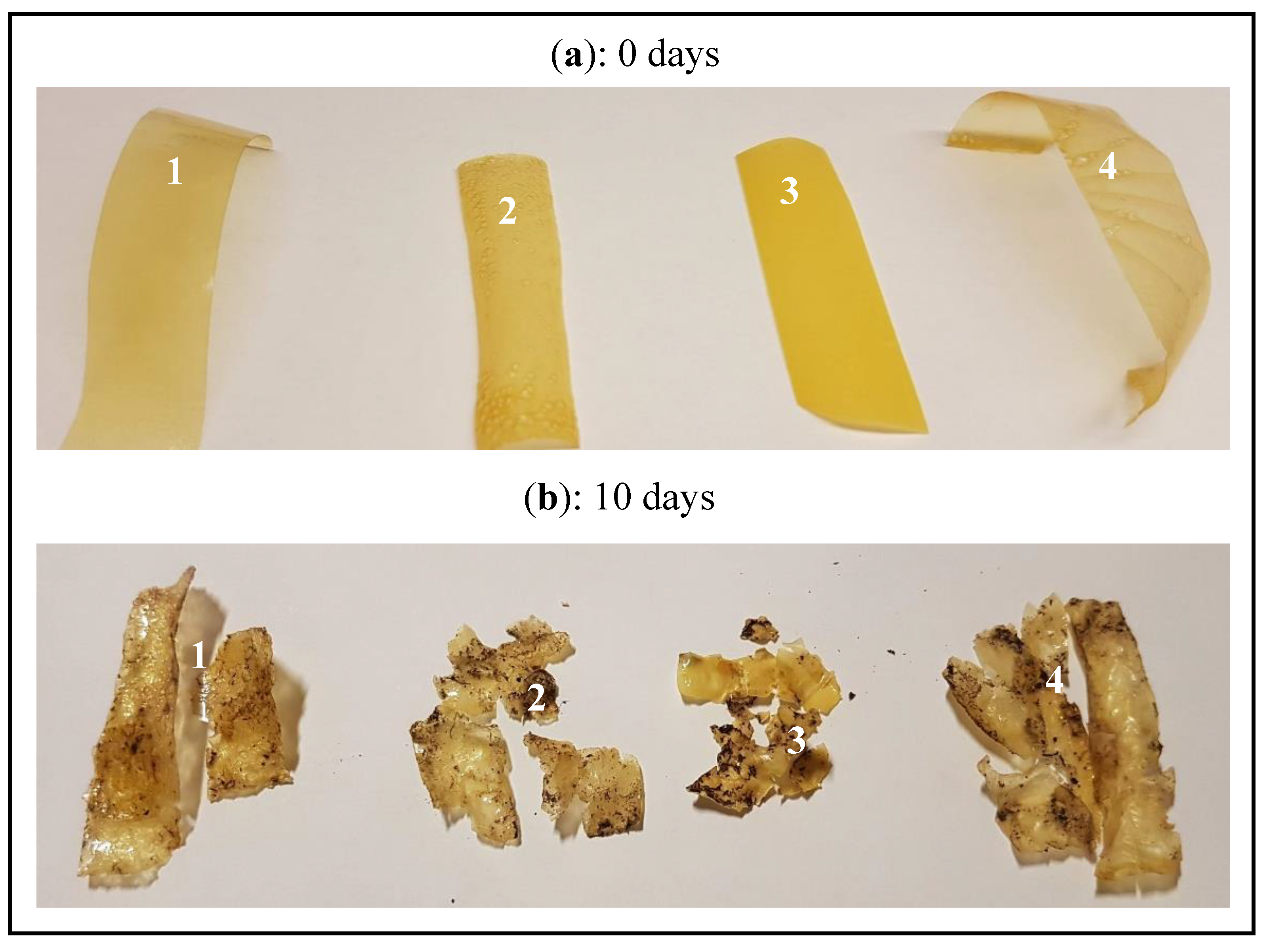 Microorganisms 07 00267 g005 Microorganisms 07 00267 g005