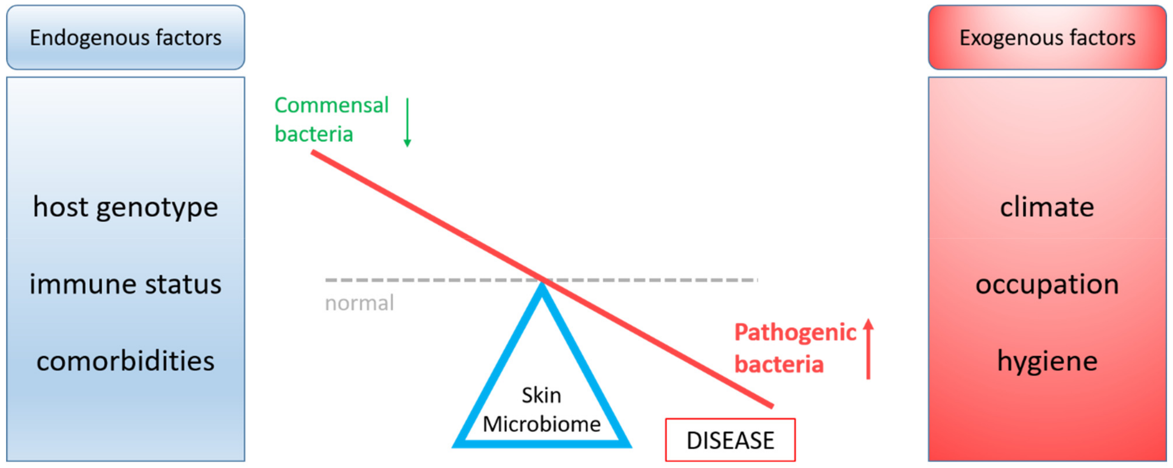 Microorganisms 07 00279 g001