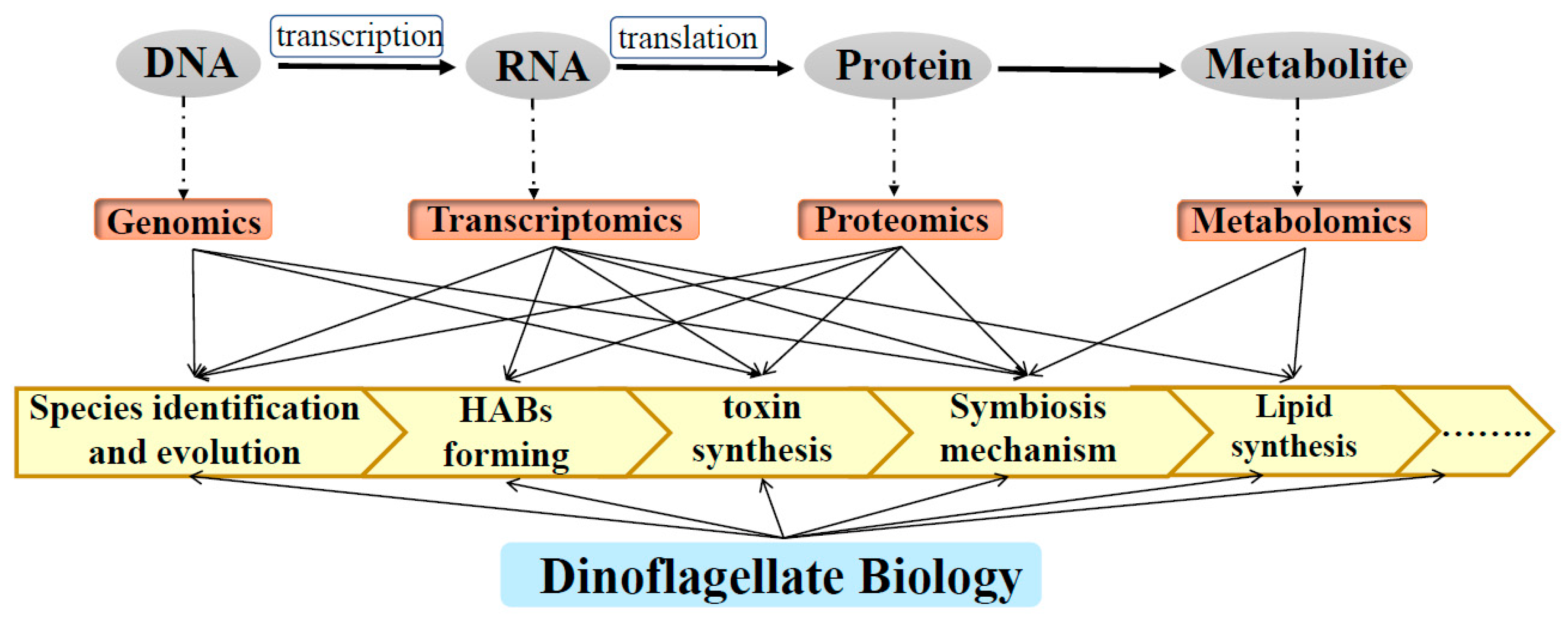Microorganisms | Free Full-Text | Omics Analysis for Dinoflagellates  Biology Research