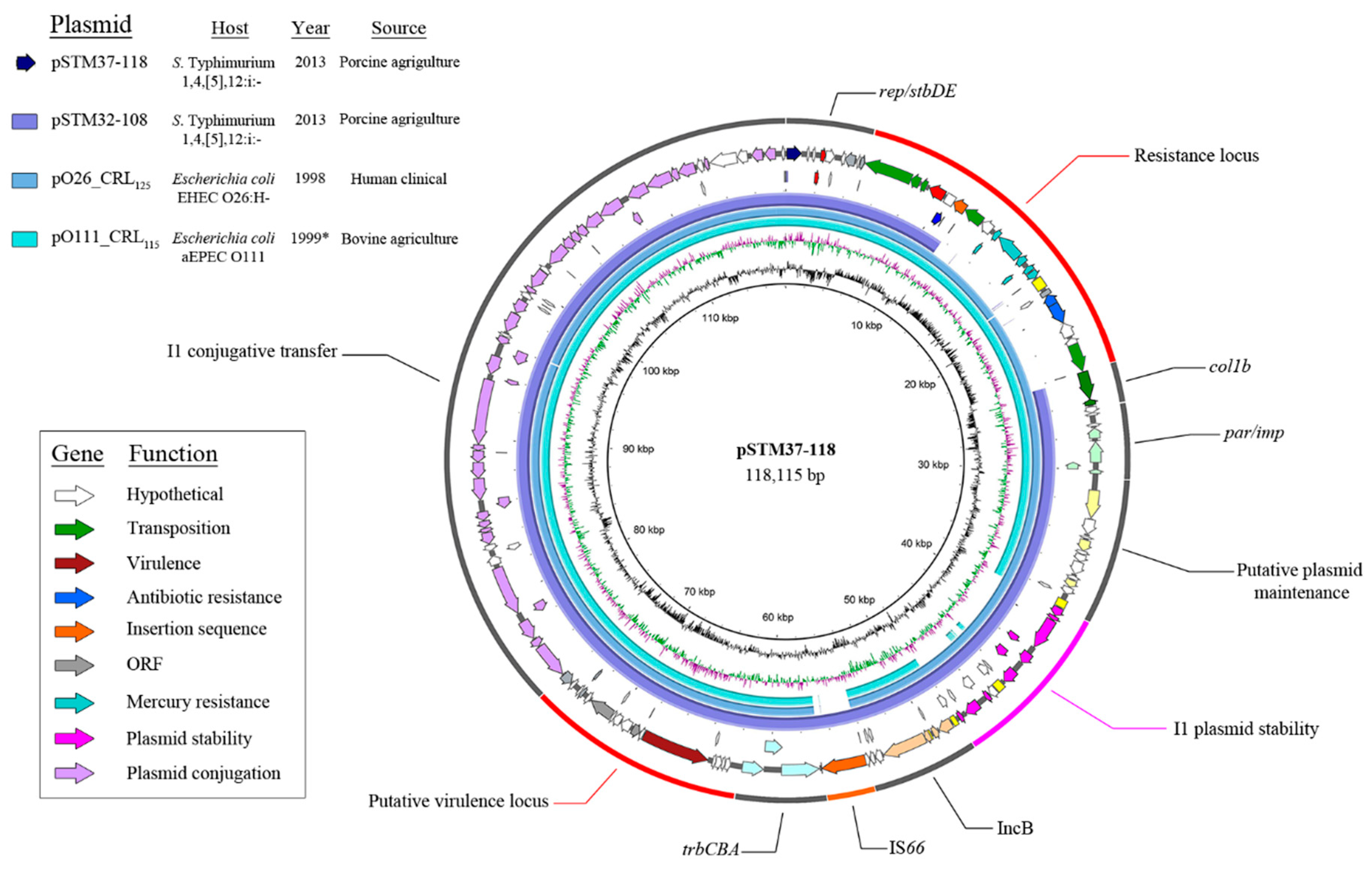 Microorganisms 07 00299 g001