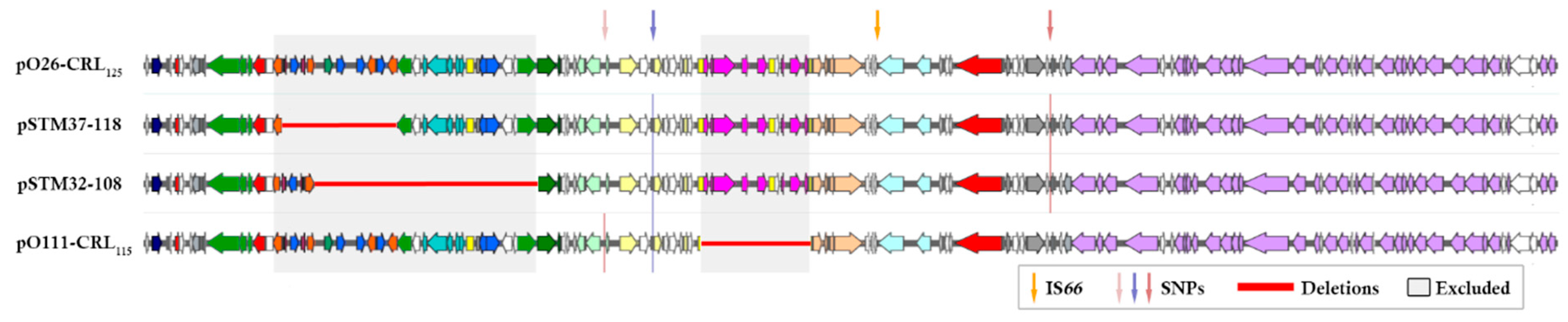 Microorganisms 07 00299 g002