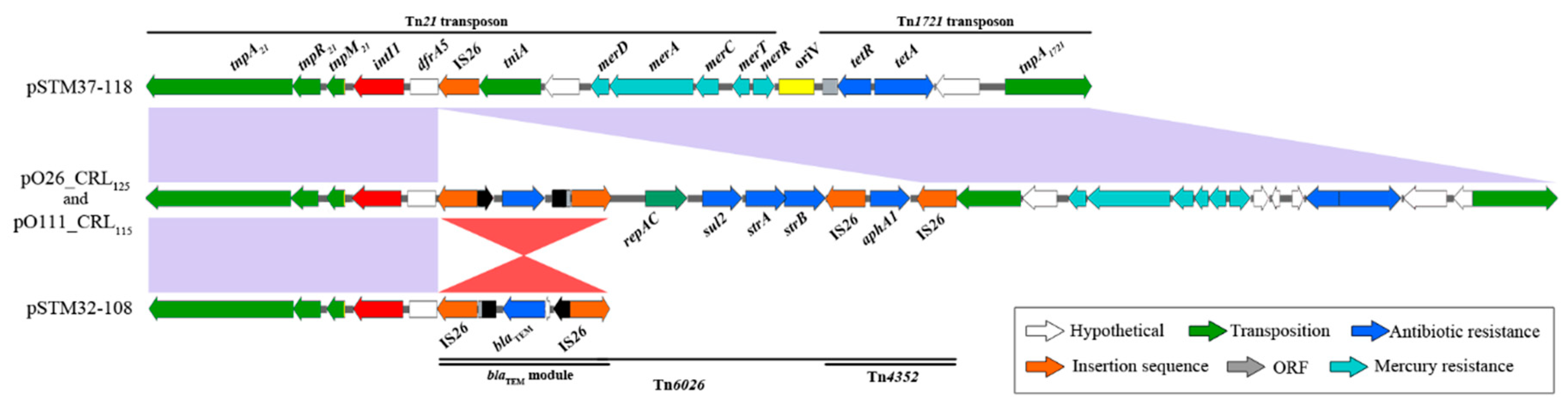 Microorganisms 07 00299 g003