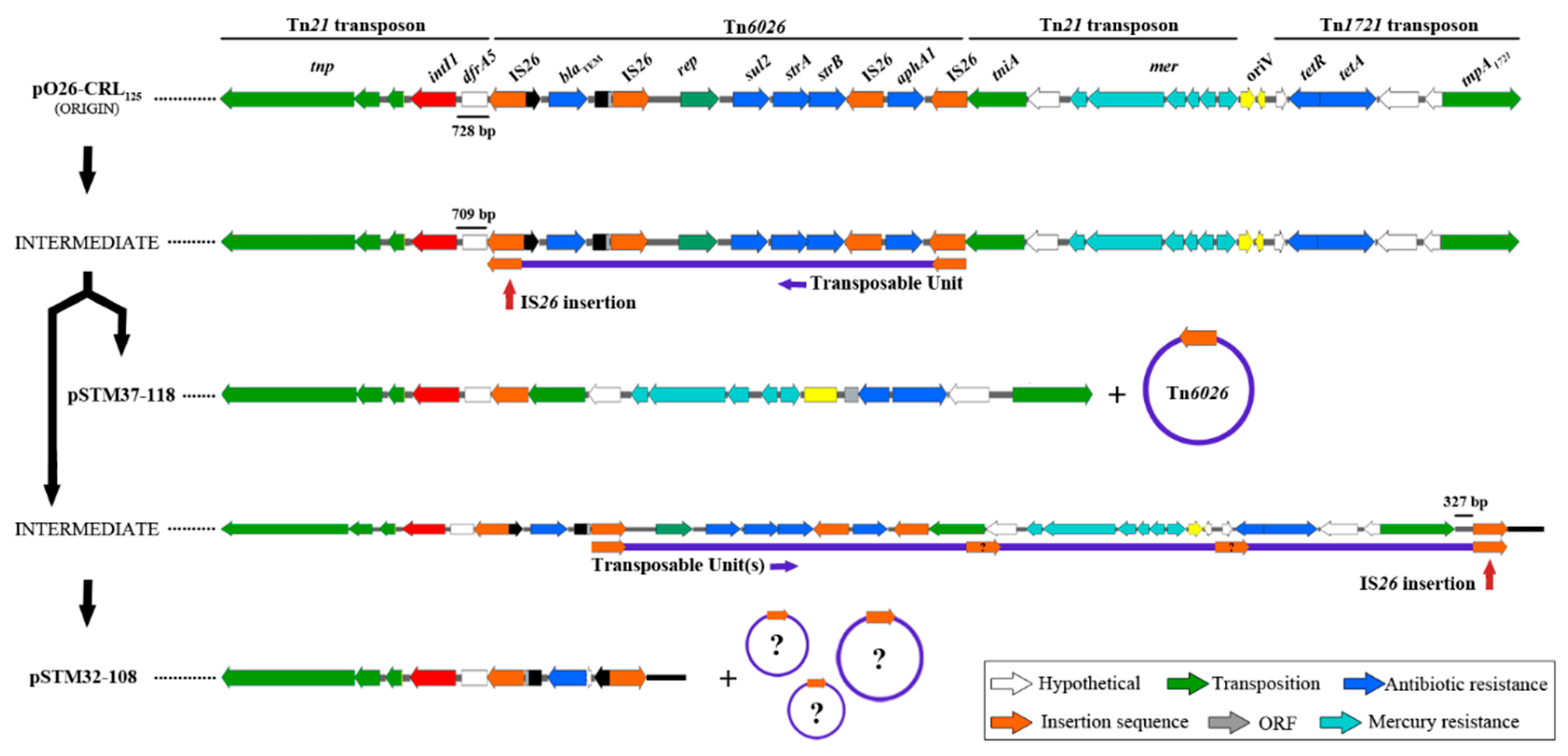 Microorganisms 07 00299 g004
