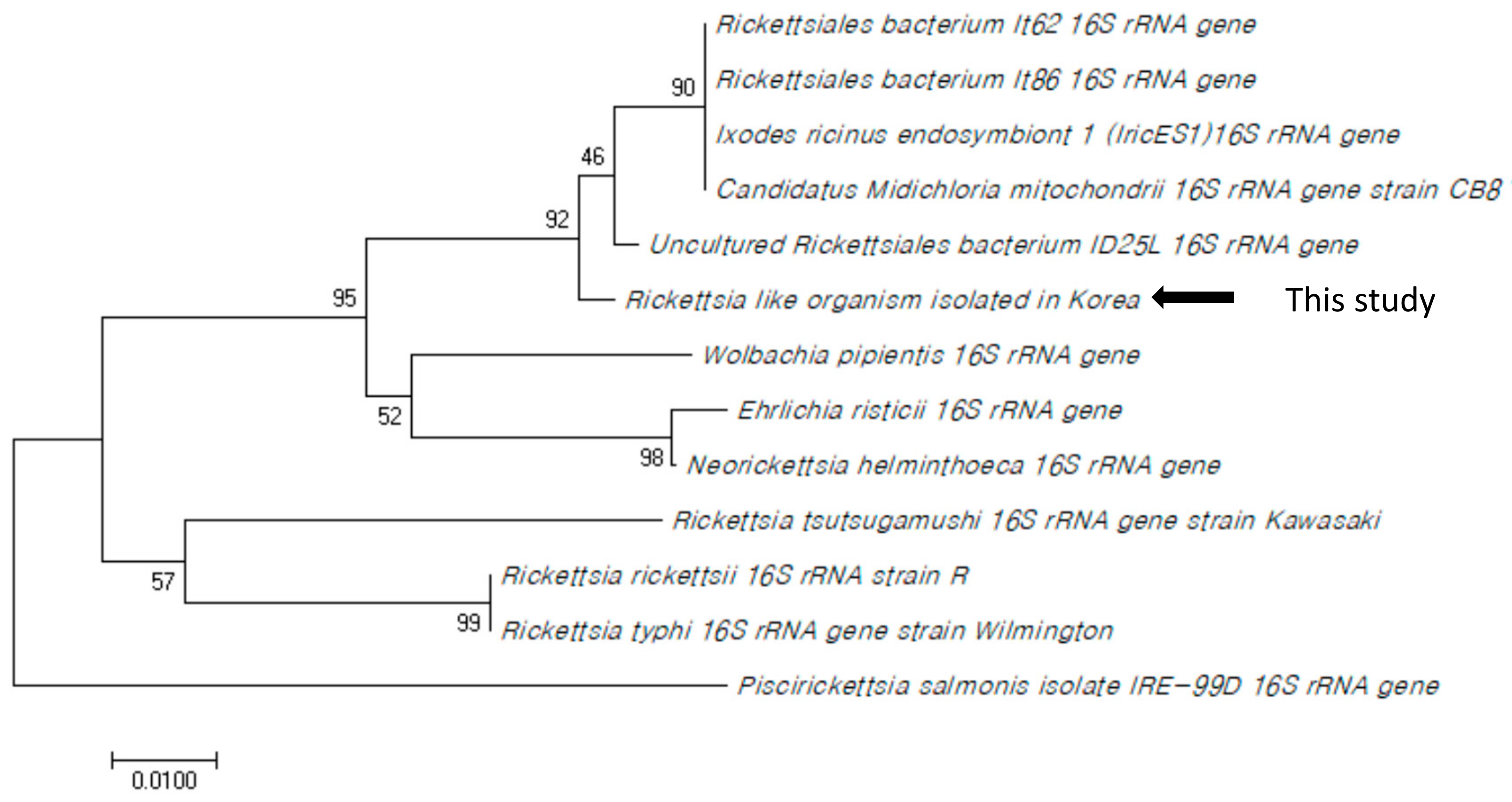 Microorganisms 07 00302 g002