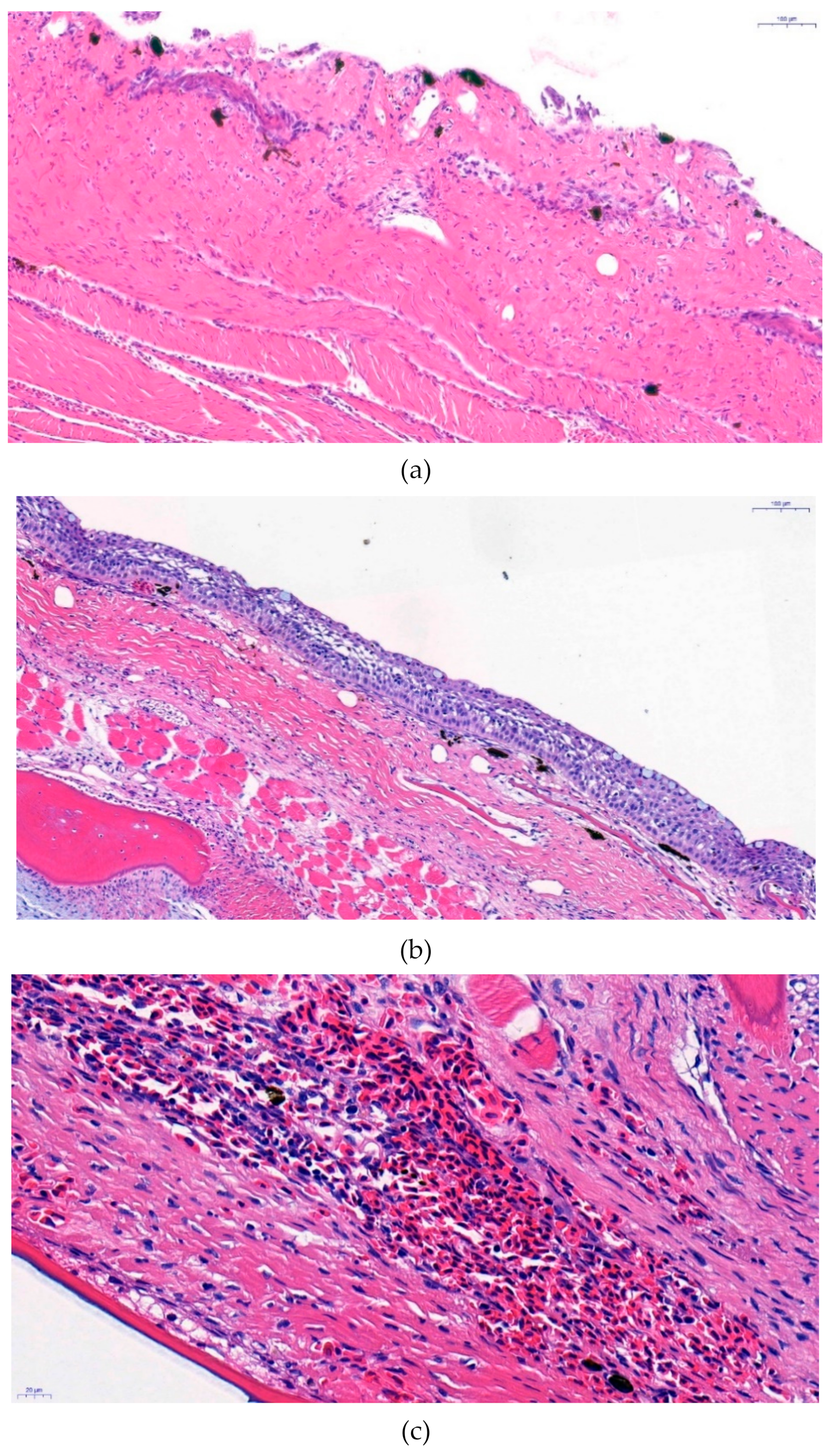 Microorganisms 07 00302 g003a