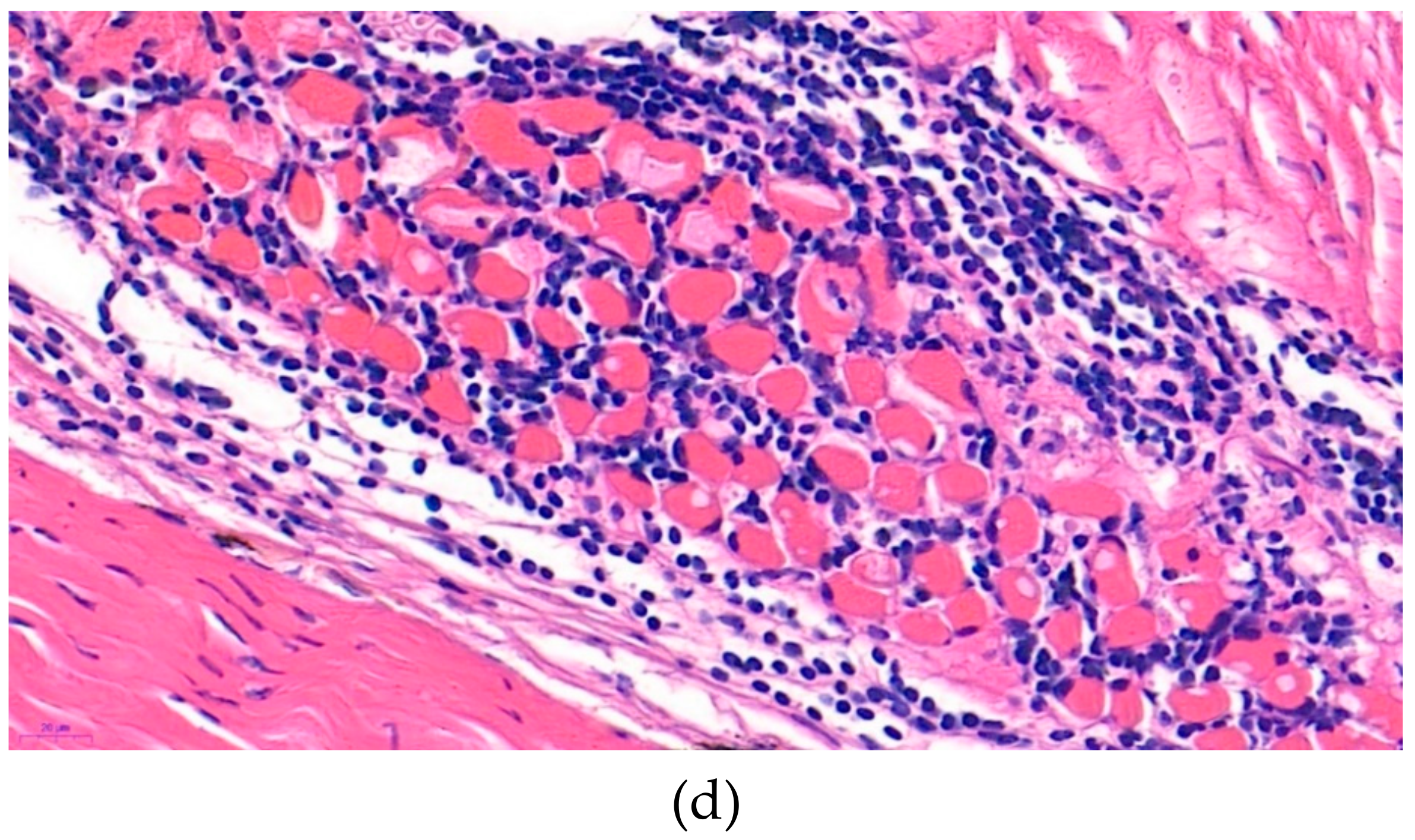 Microorganisms 07 00302 g003b