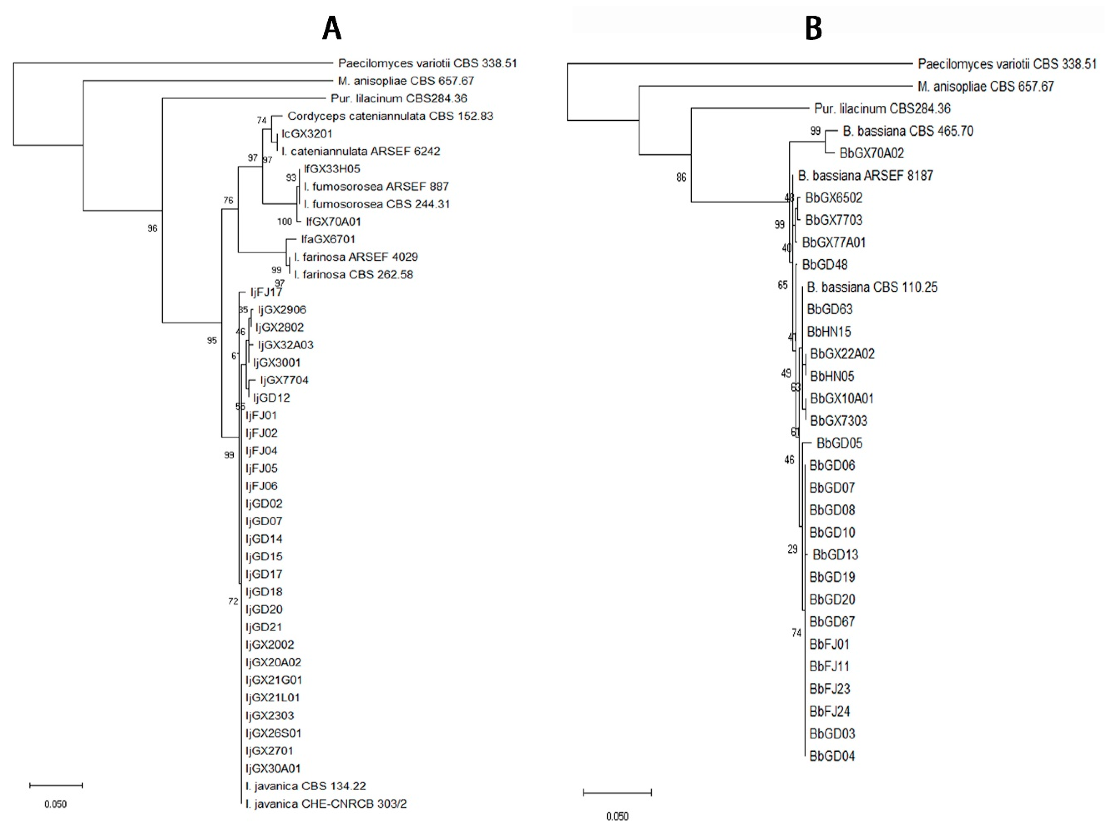 Microorganisms 07 00311 g003 Microorganisms 07 00311 g003