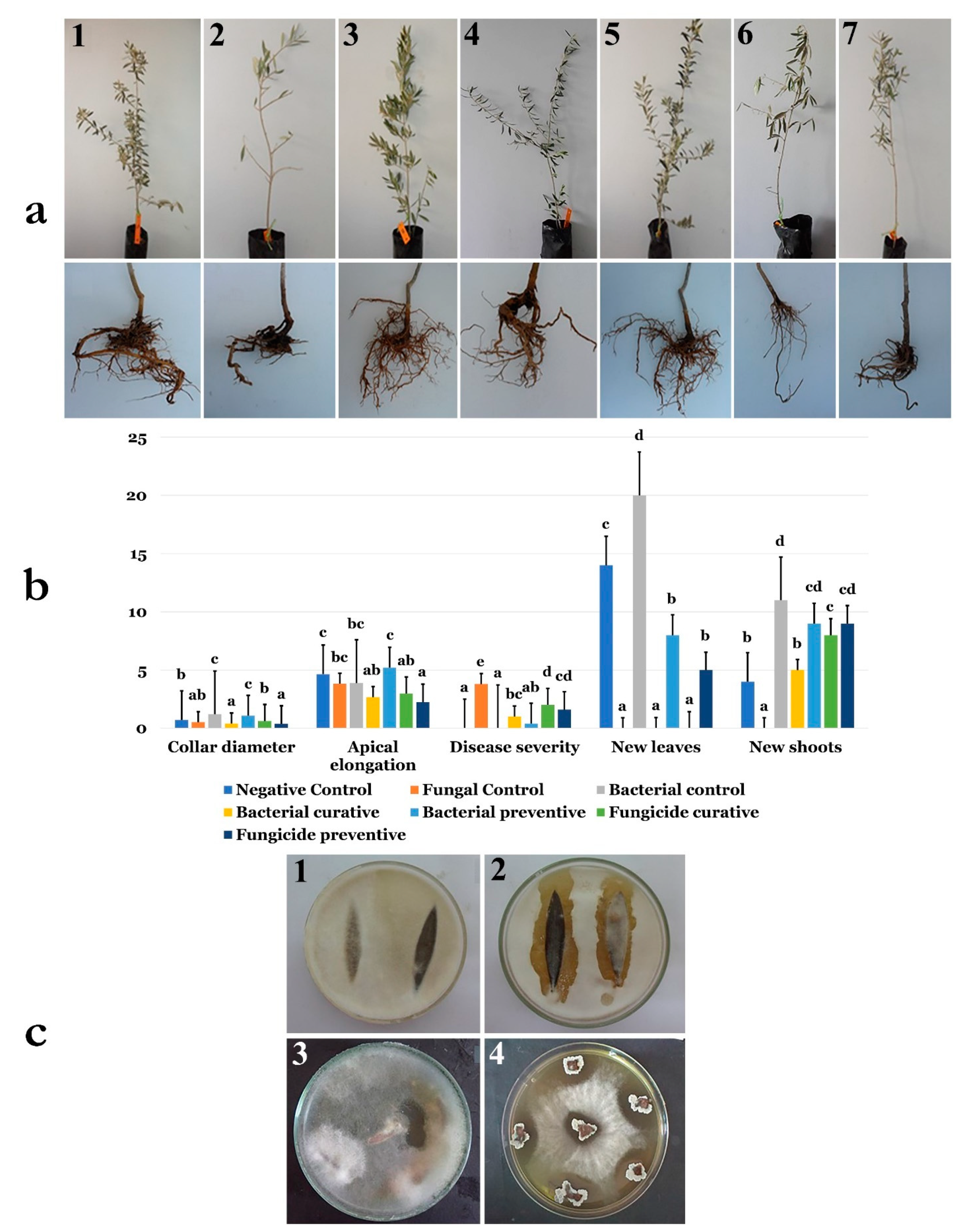 Microorganisms 07 00314 g009 Microorganisms 07 00314 g009