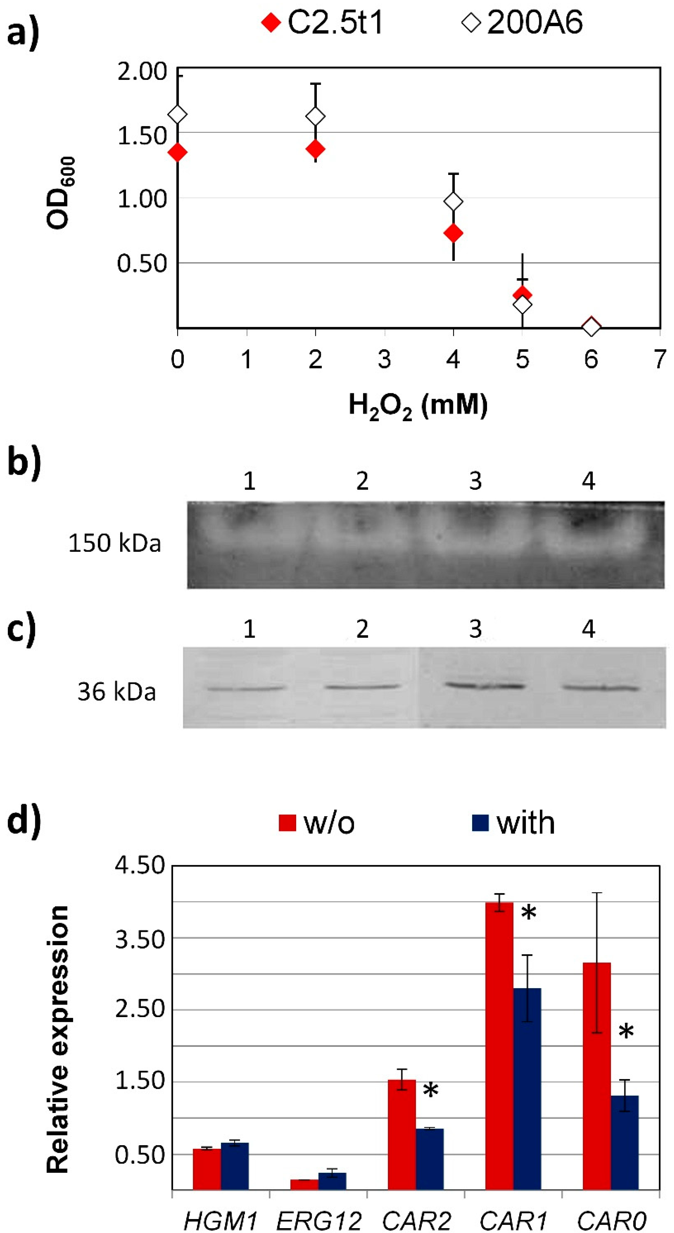Microorganisms 07 00316 g001 Microorganisms 07 00316 g001