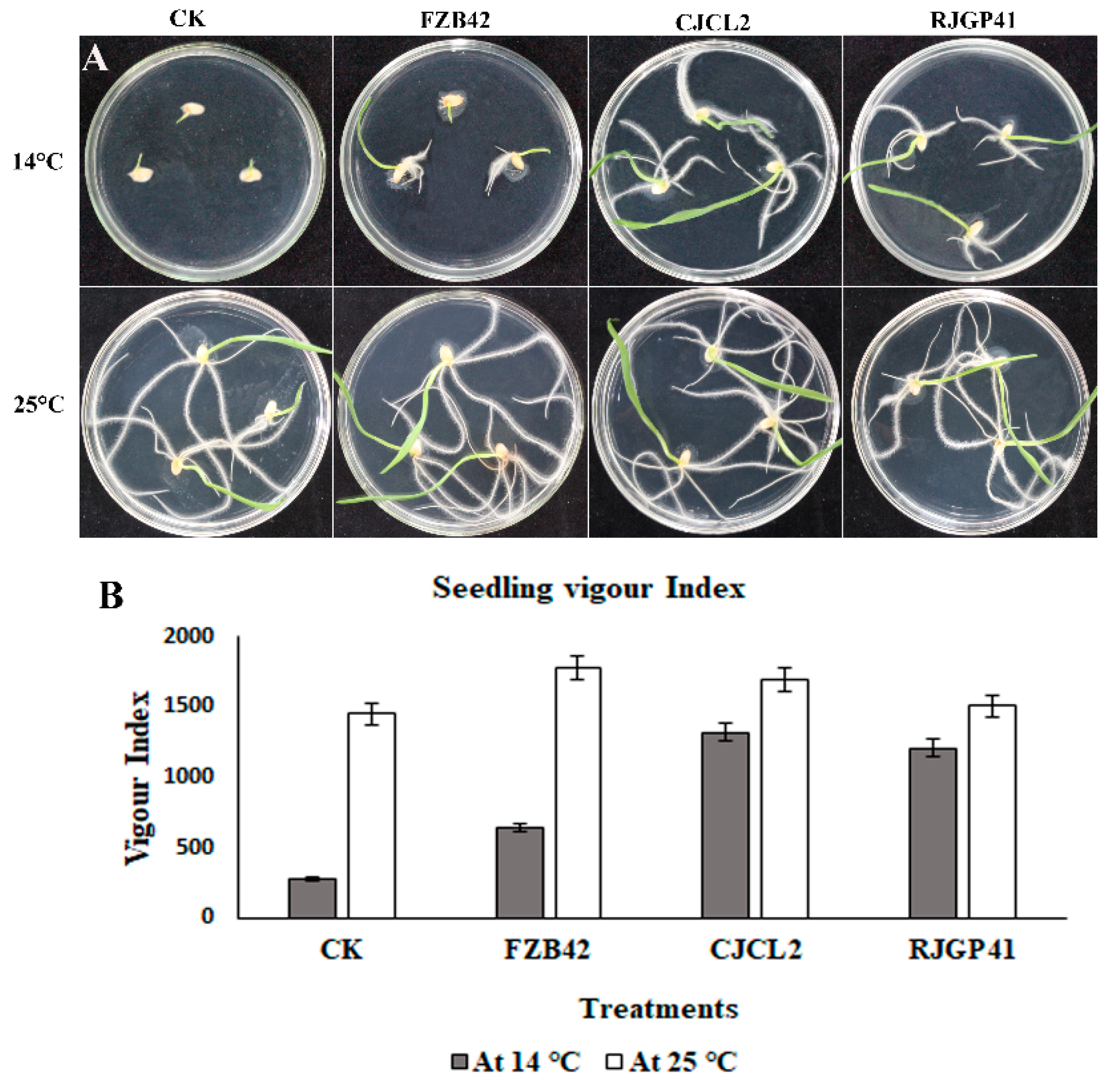 Microorganisms 07 00337 g007