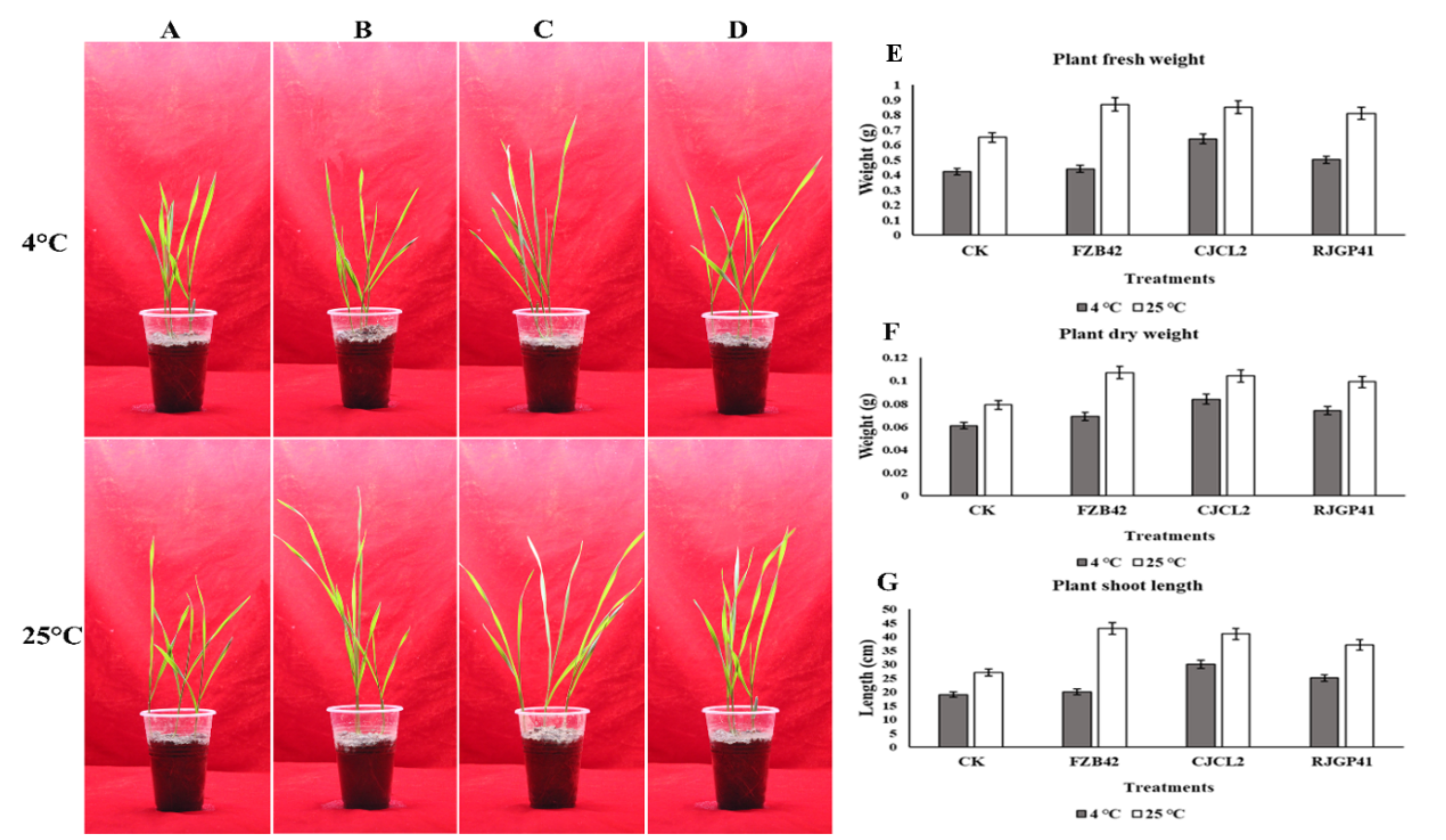 Microorganisms 07 00337 g011