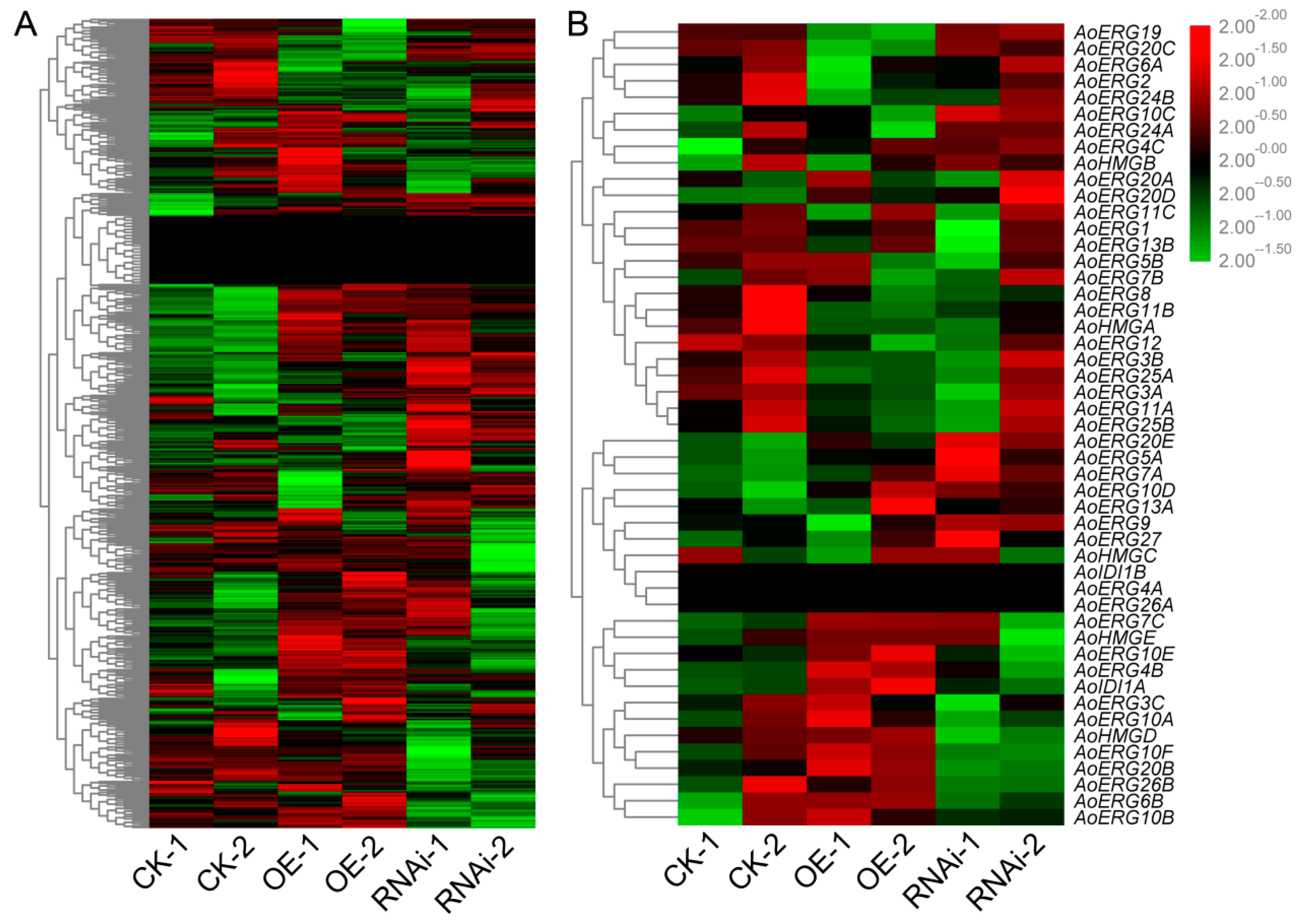 Microorganisms 07 00342 g003