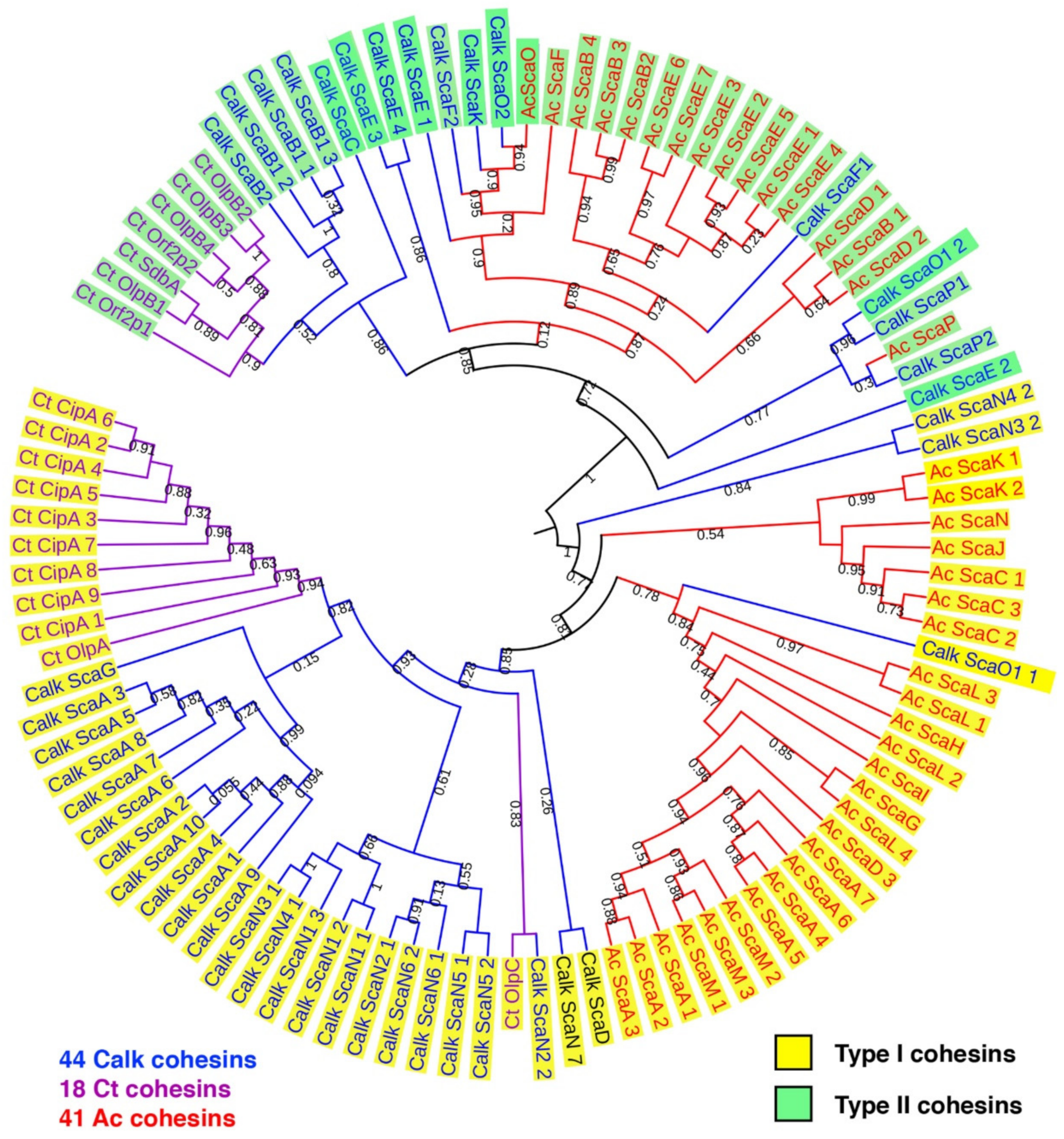 Microorganisms 07 00347 g002 Microorganisms 07 00347 g002