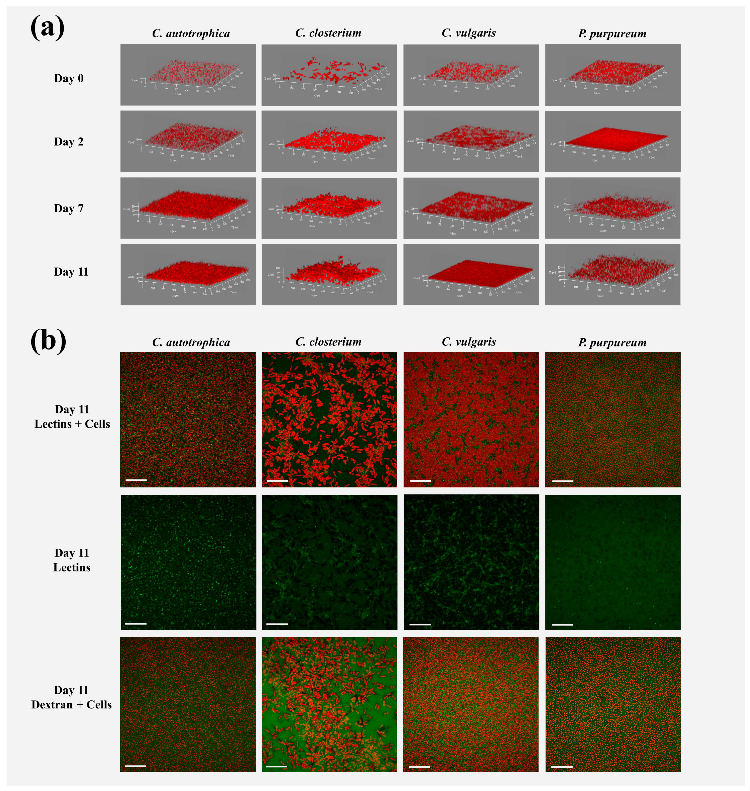 Microorganisms 07 00352 g001