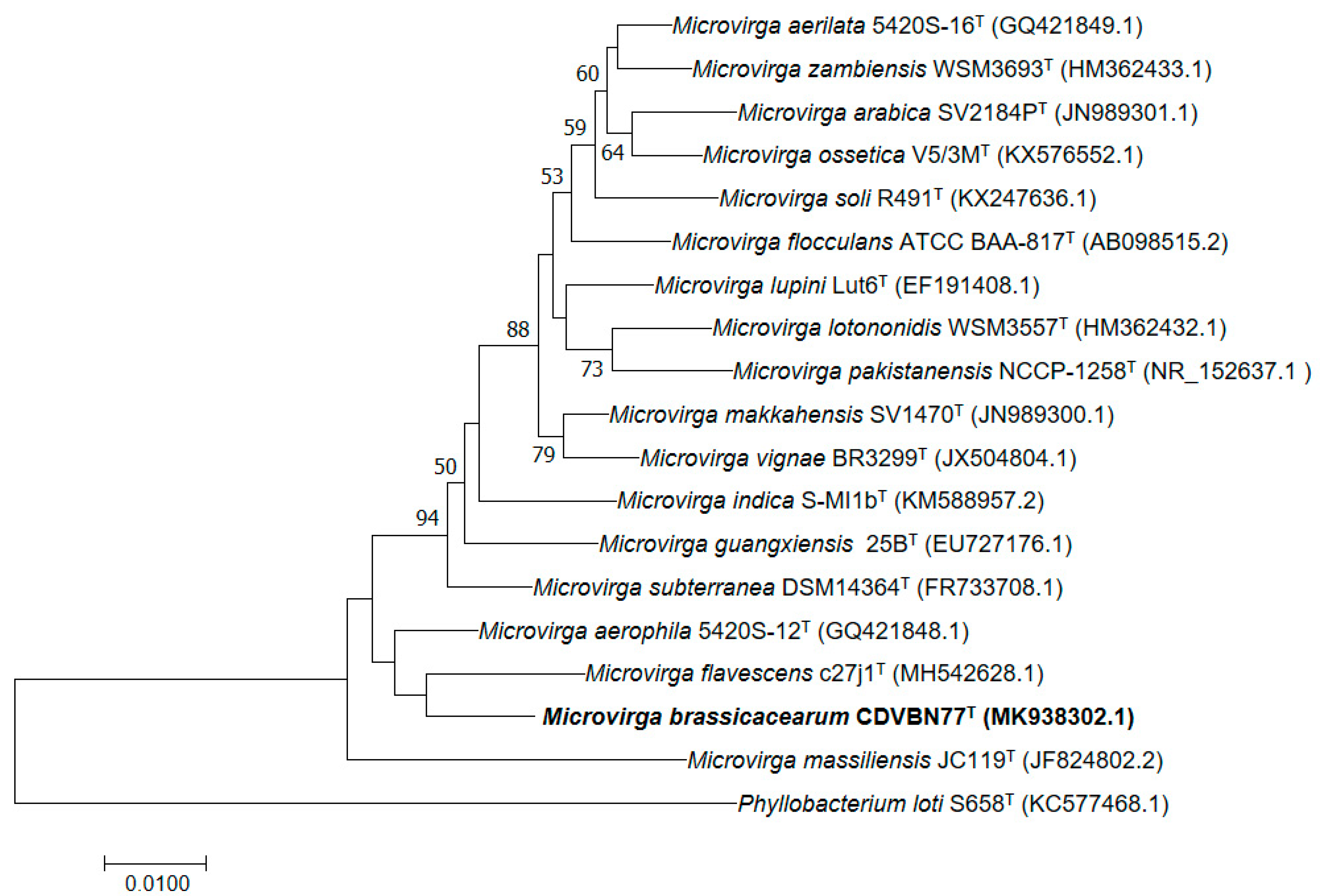 Microorganisms 07 00354 g001 Microorganisms 07 00354 g001