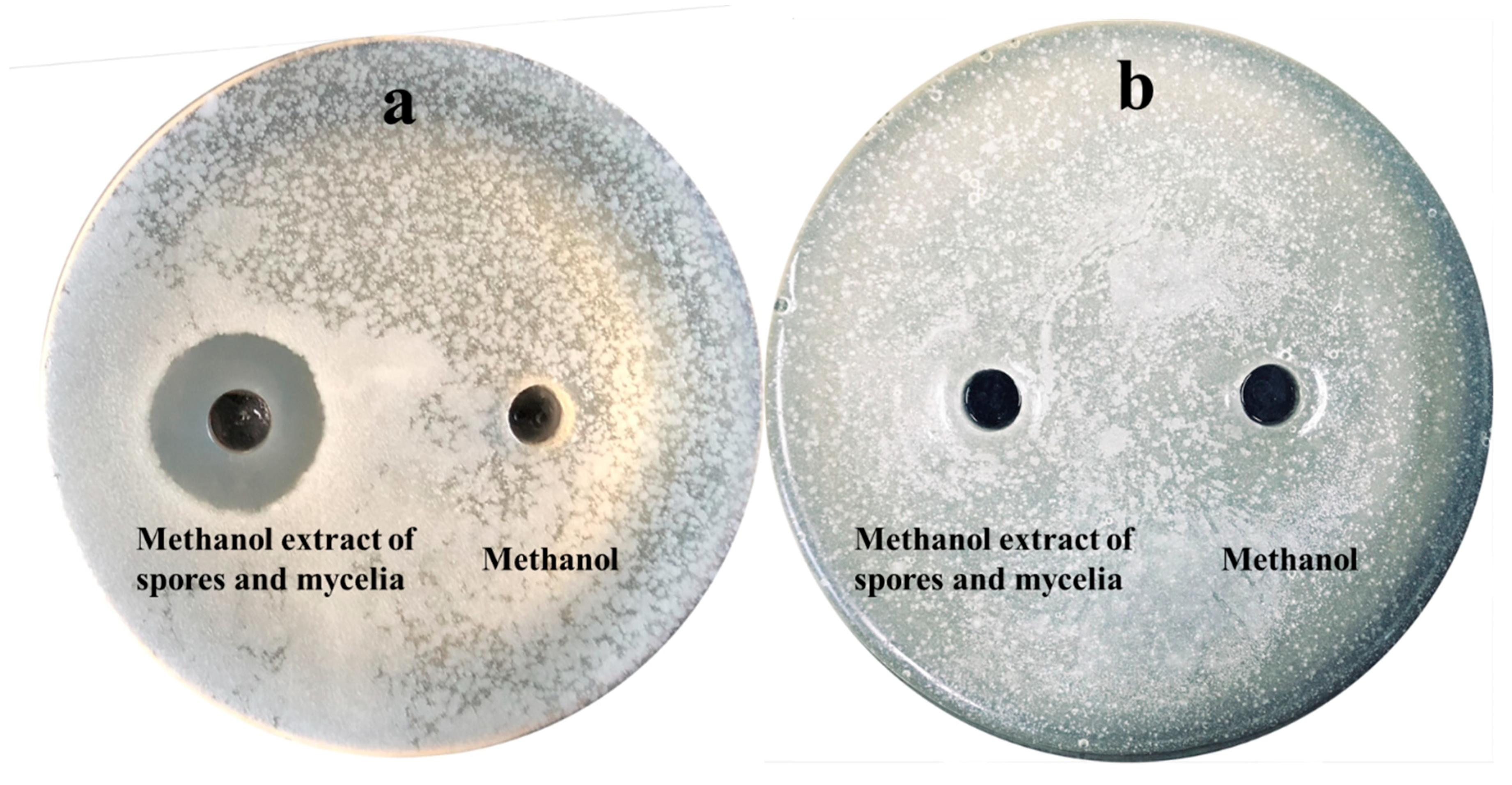 Microorganisms 07 00360 g004 Microorganisms 07 00360 g004