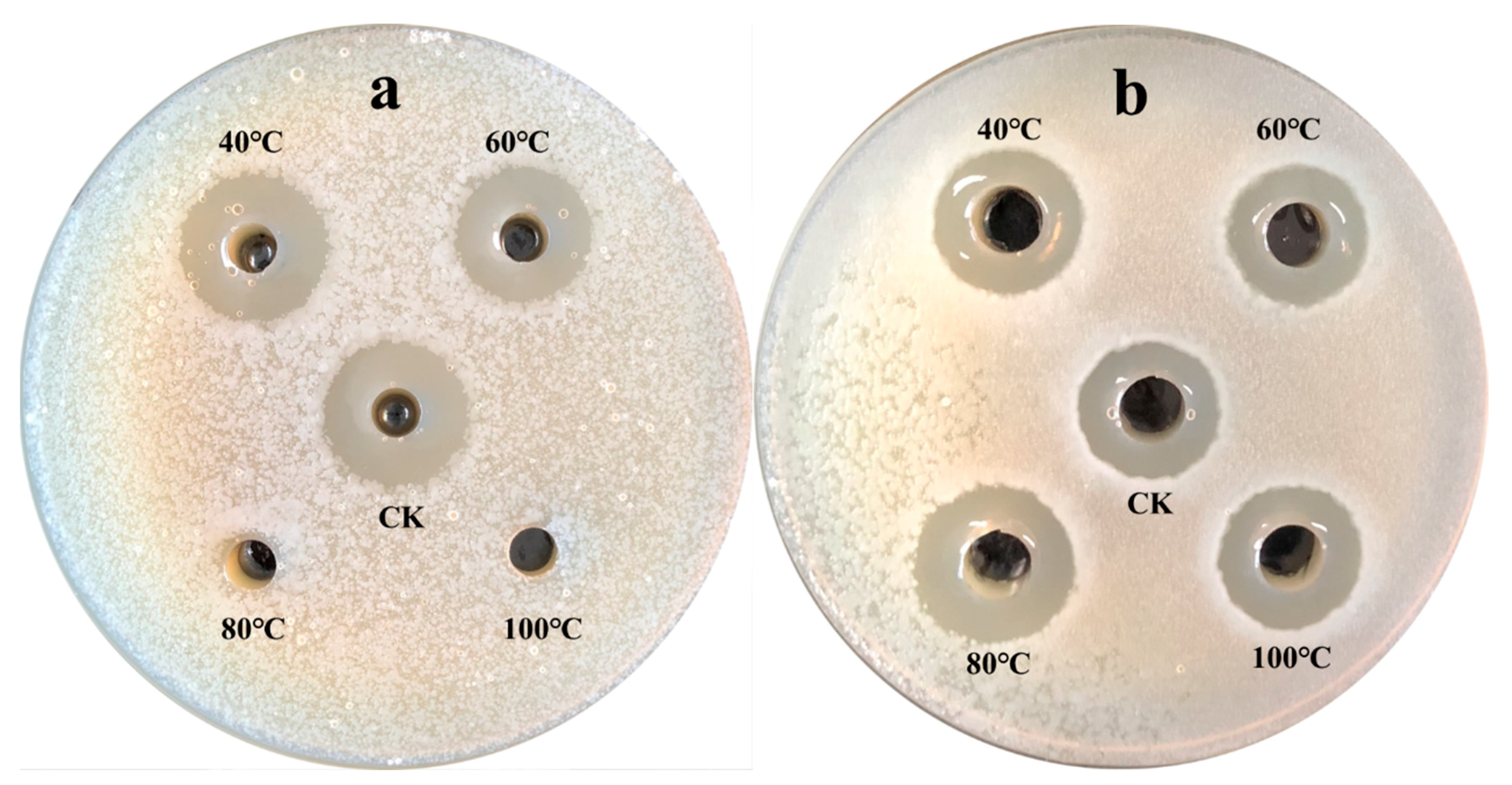 Microorganisms 07 00360 g006 Microorganisms 07 00360 g006