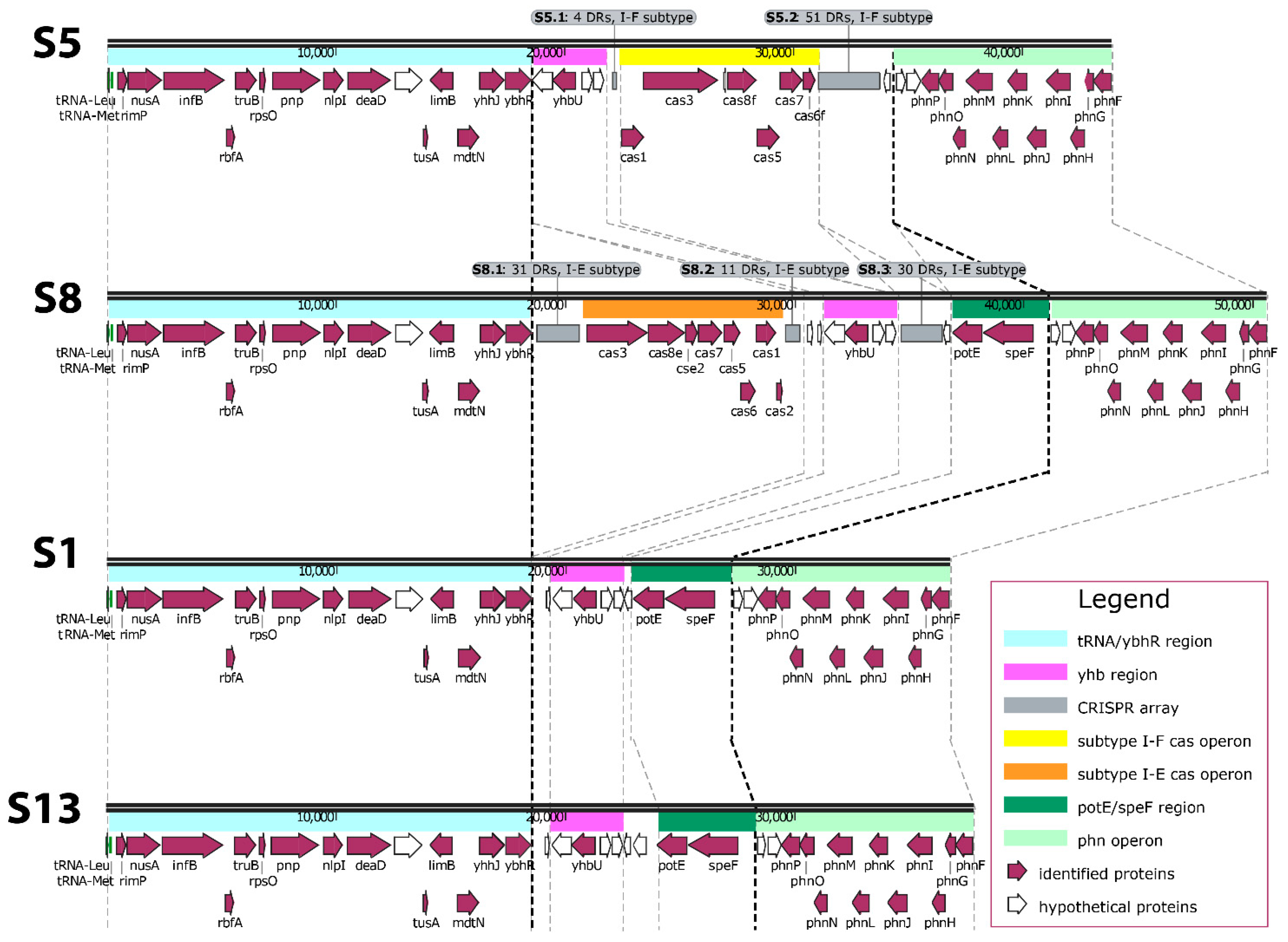 Microorganisms 07 00368 g001