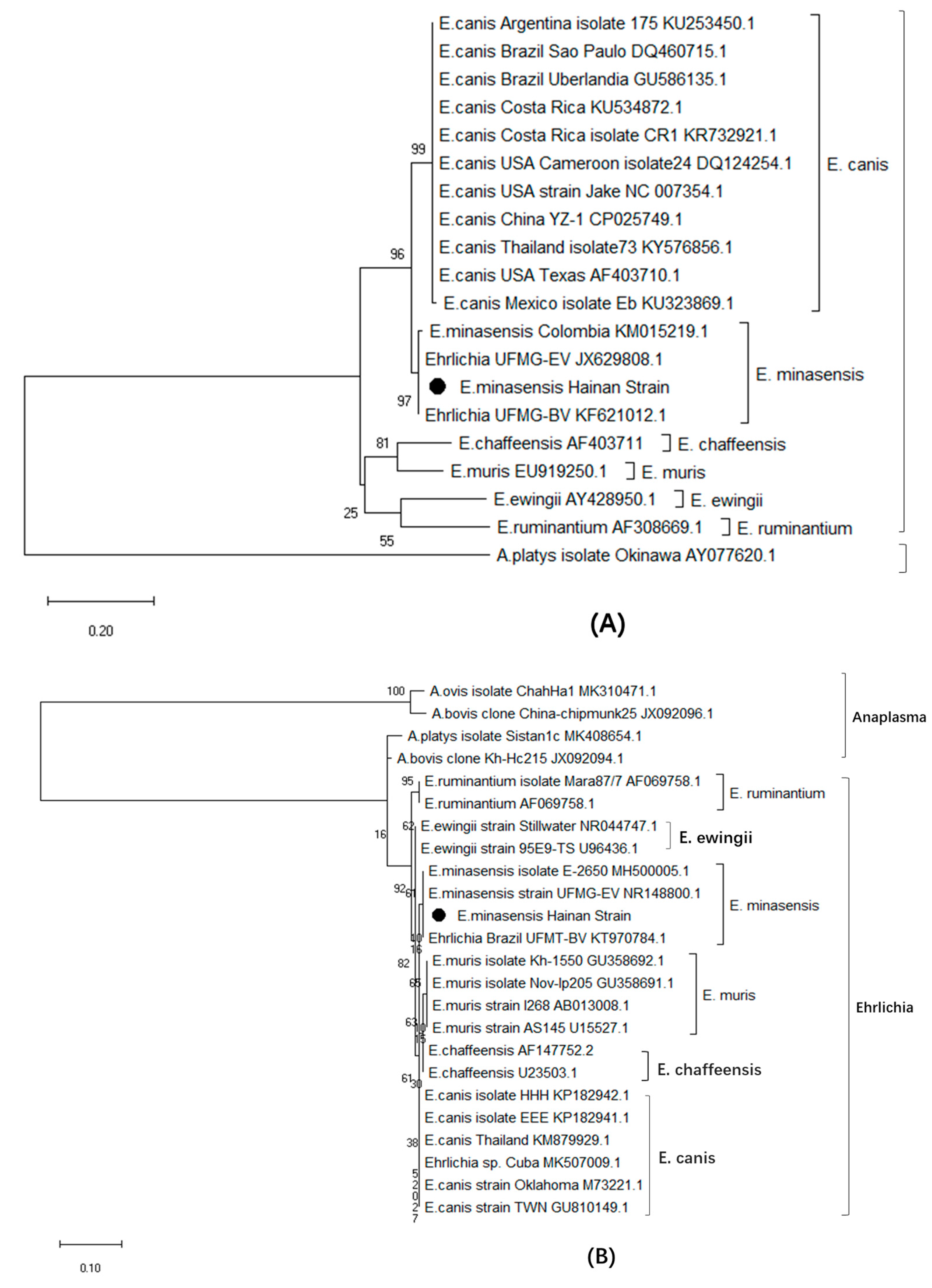 Microorganisms 07 00369 g001a 550
