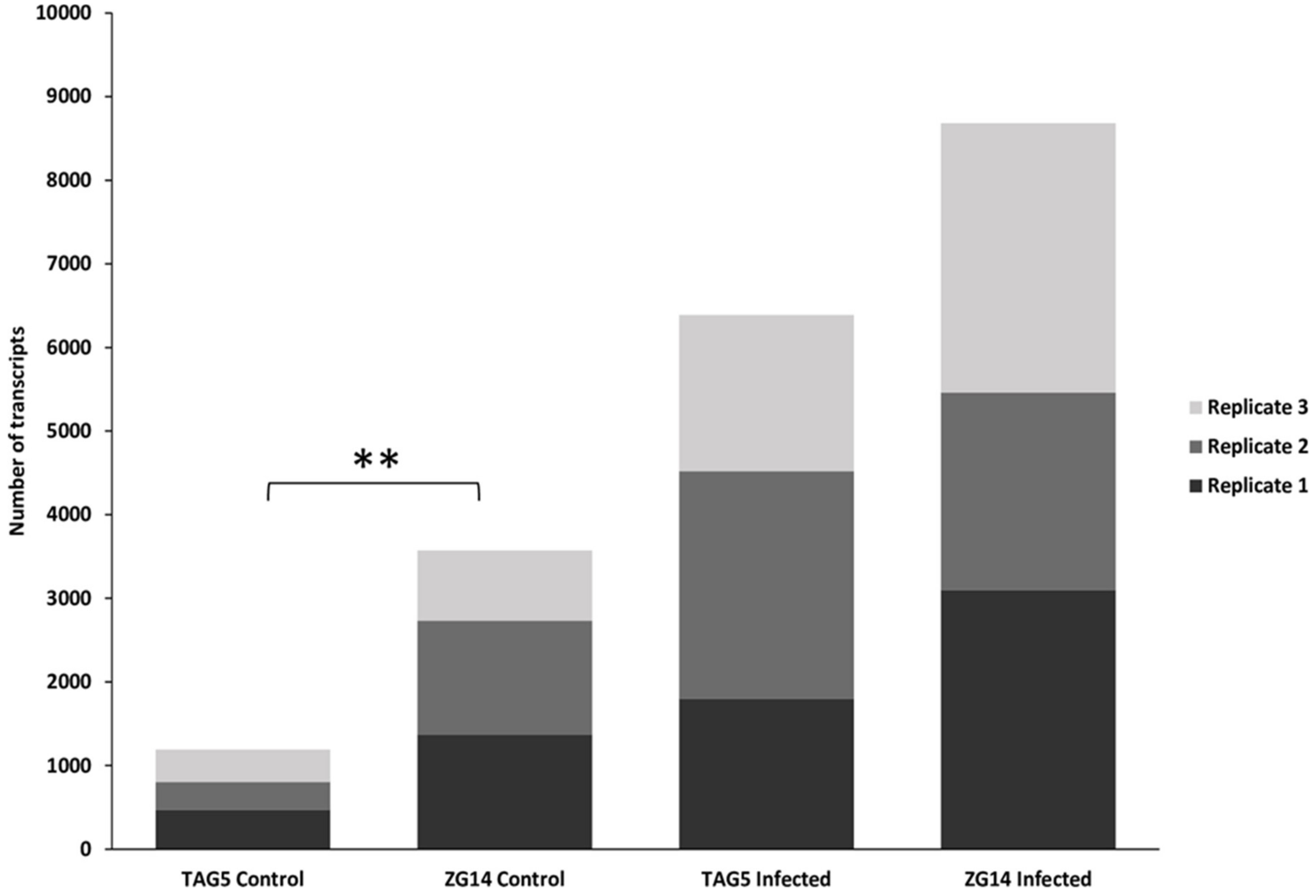 Microorganisms 07 00375 g001 Microorganisms 07 00375 g001
