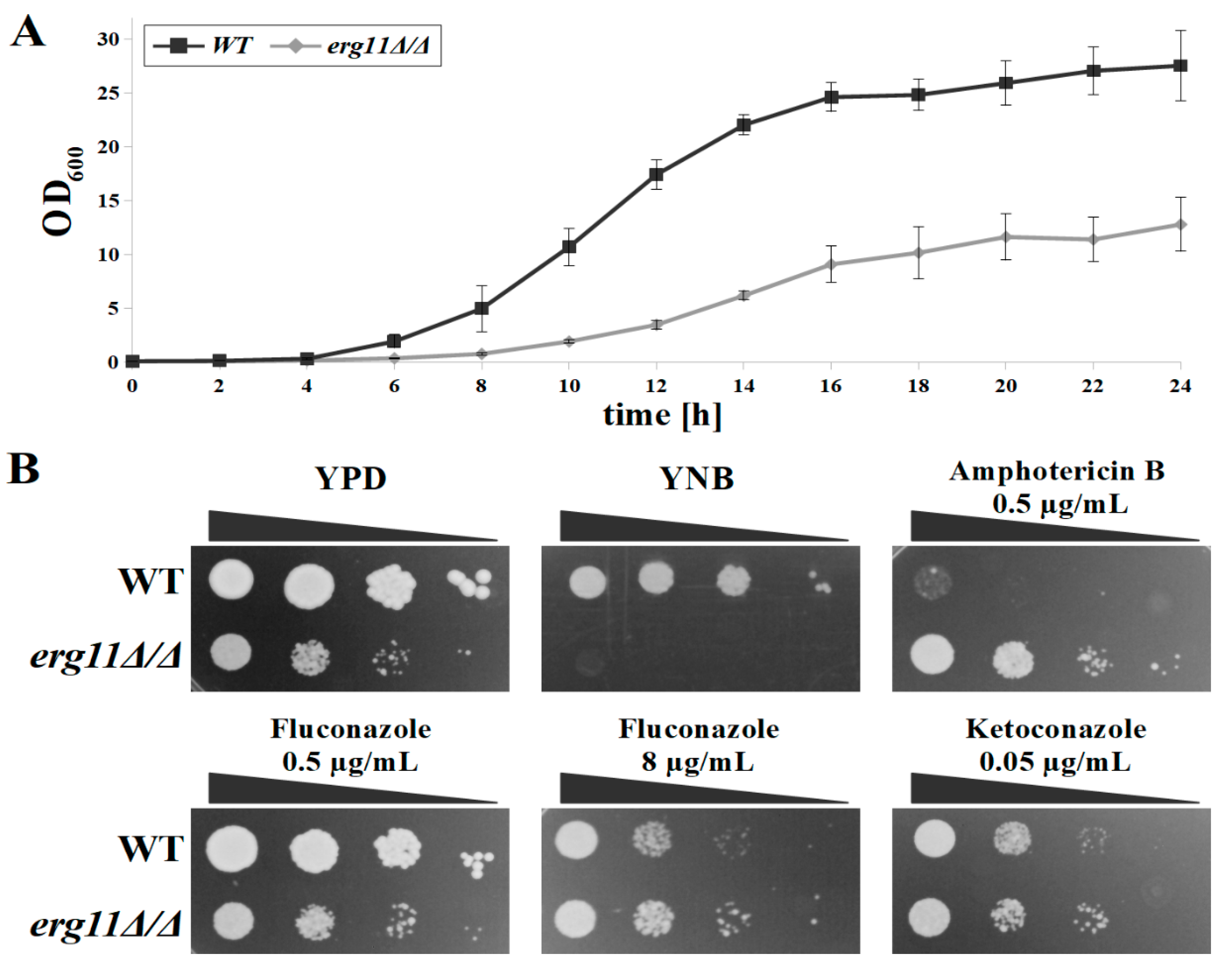 Microorganisms 07 00378 g001 Microorganisms 07 00378 g001