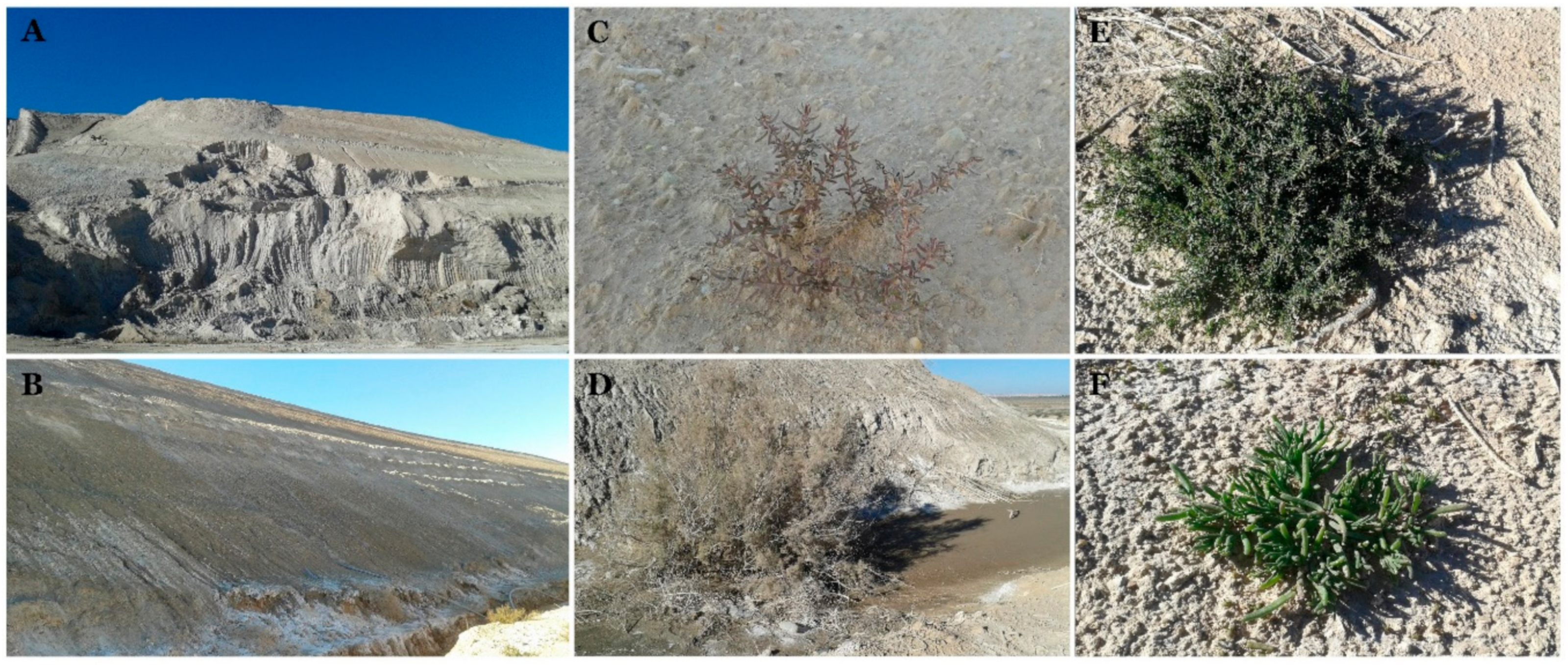Microorganisms 07 00382 g001